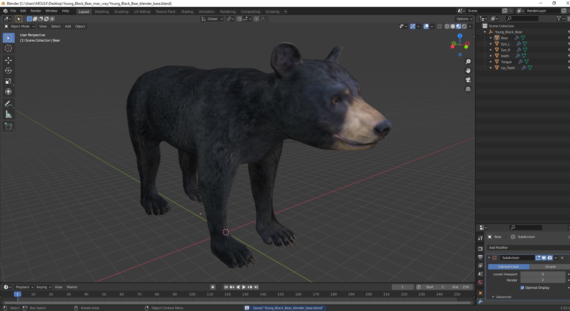 3D Young Black Bear