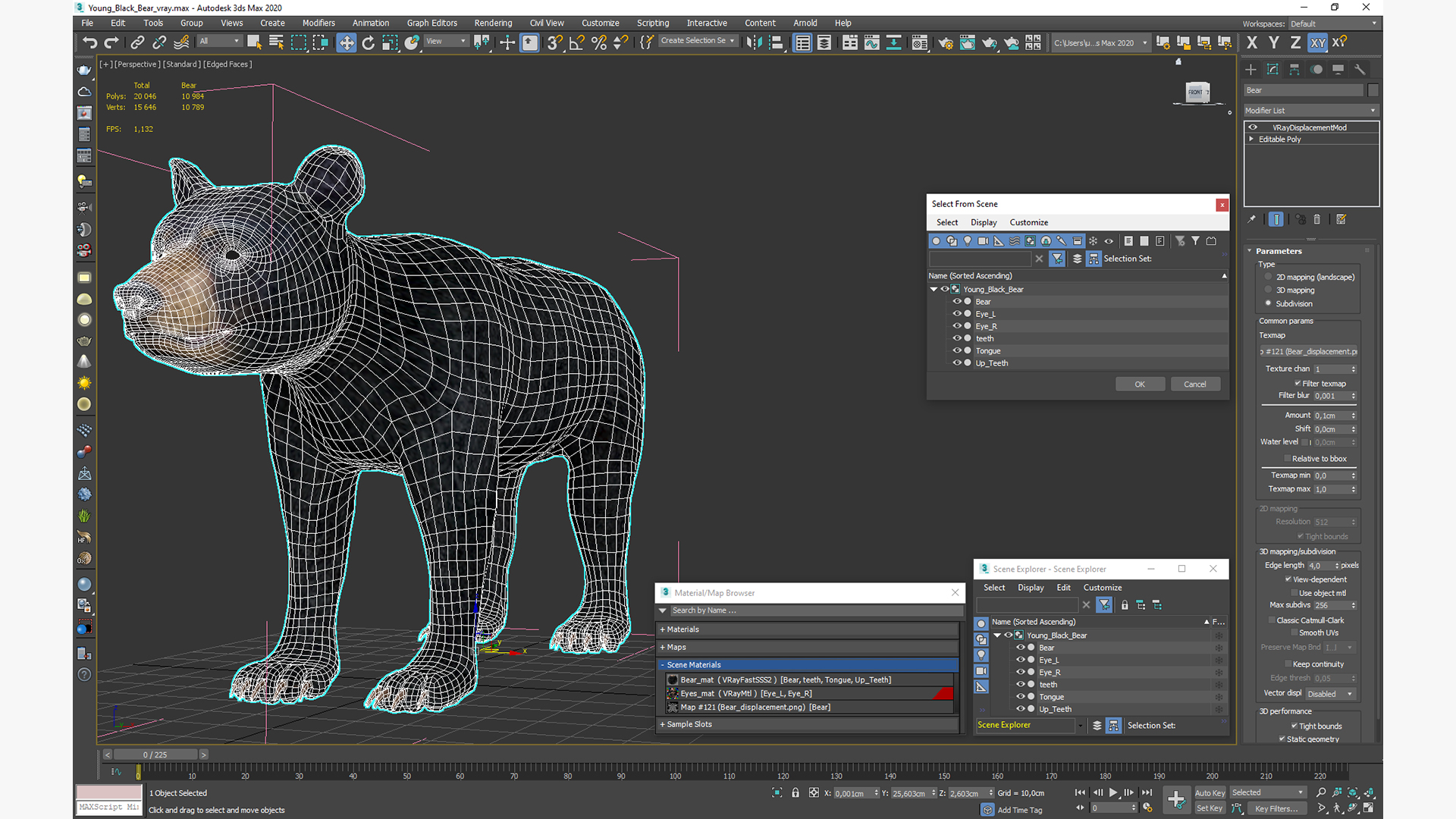 3D Young Black Bear