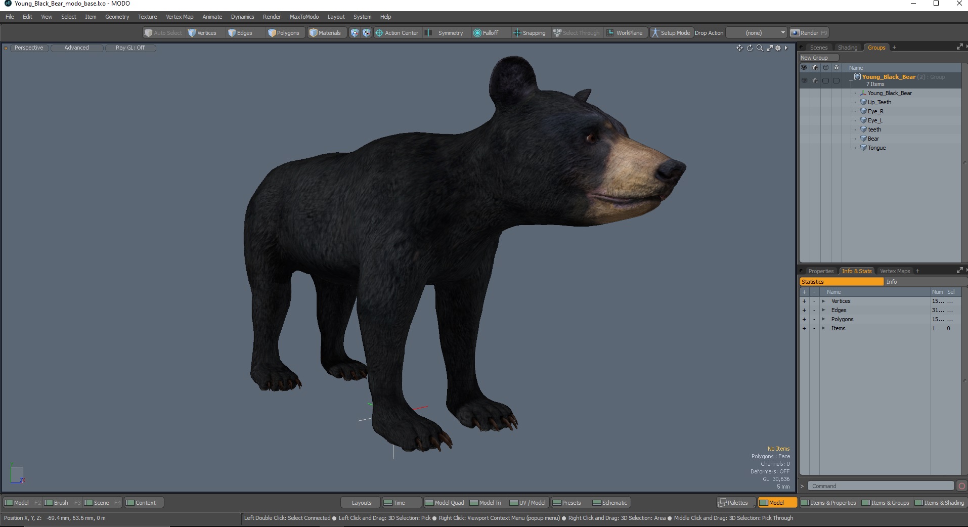 3D Young Black Bear