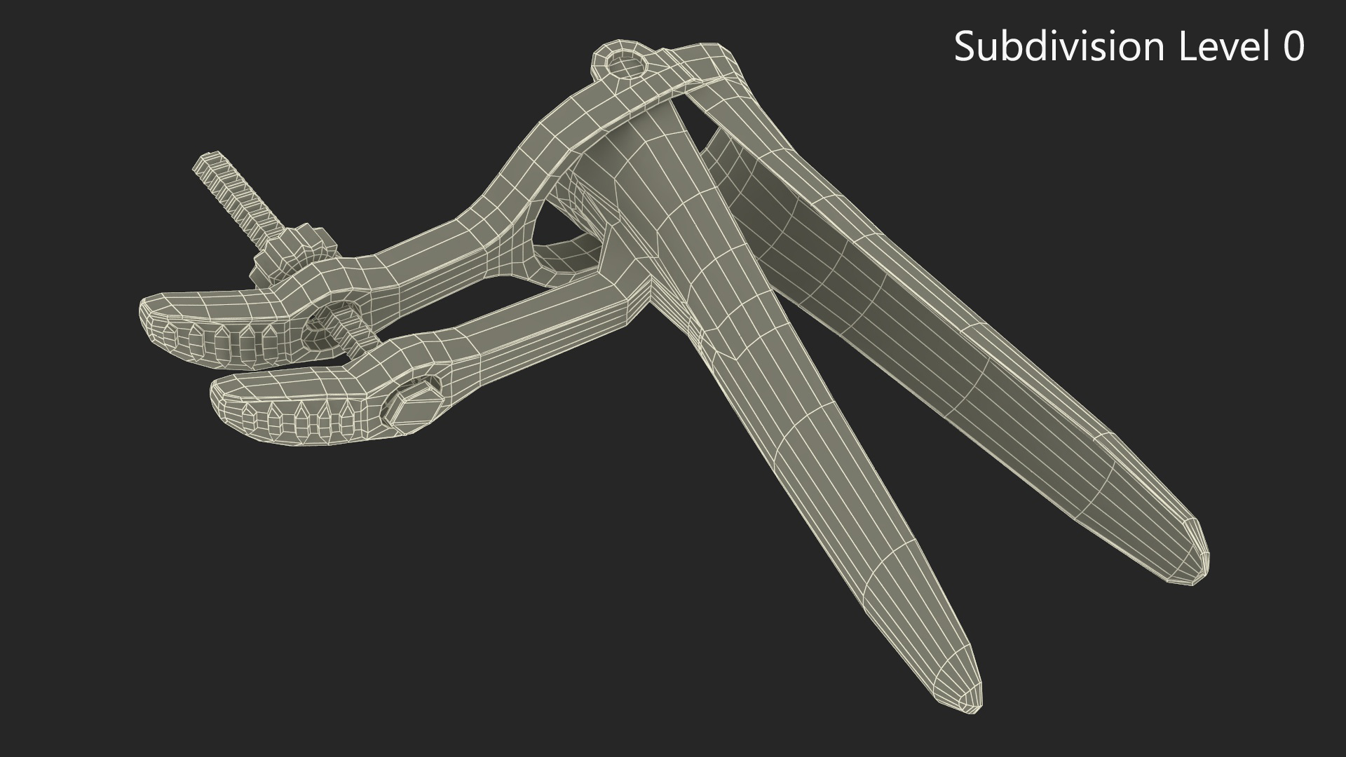 Plastic Vaginal Speculum 3D model