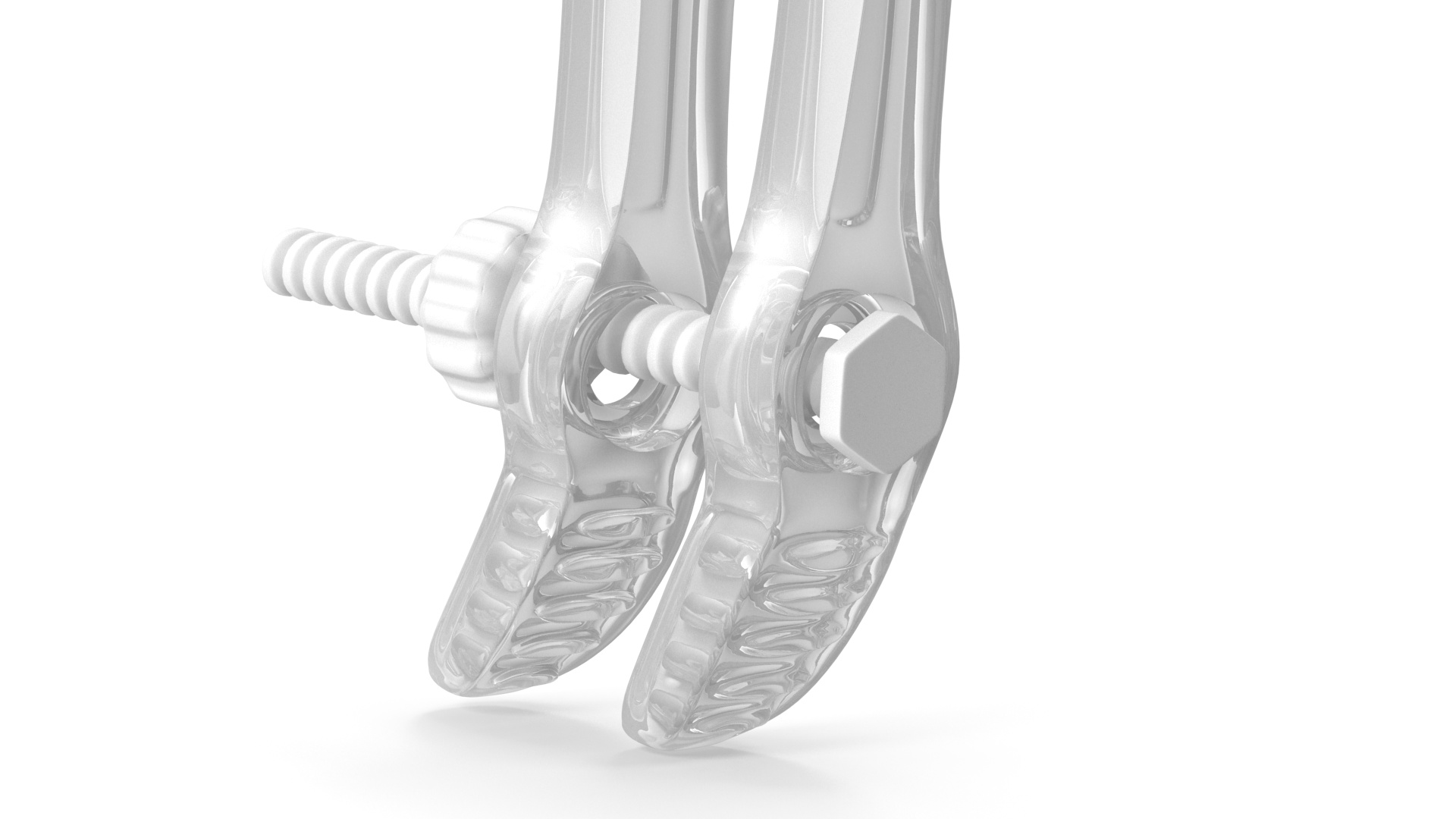 Plastic Vaginal Speculum 3D model