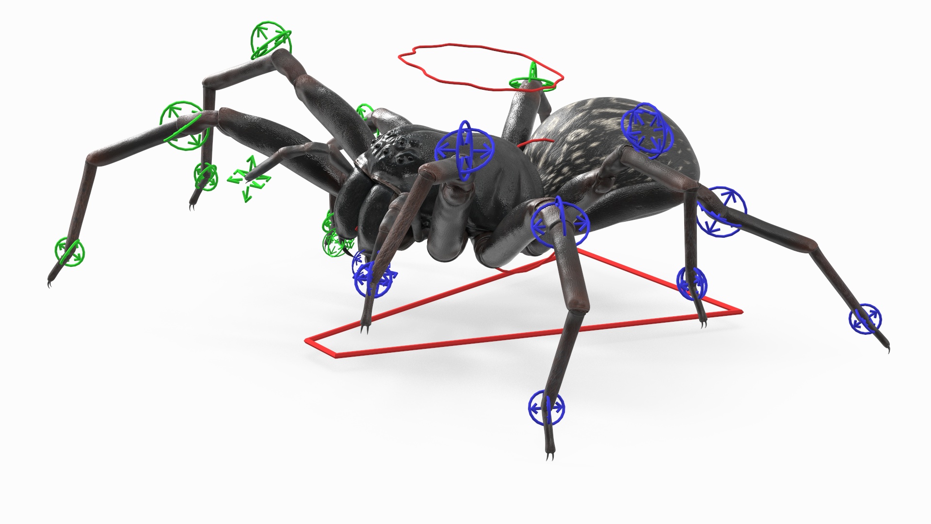 3D Black Wolf Spider Rigged for Cinema 4D model
