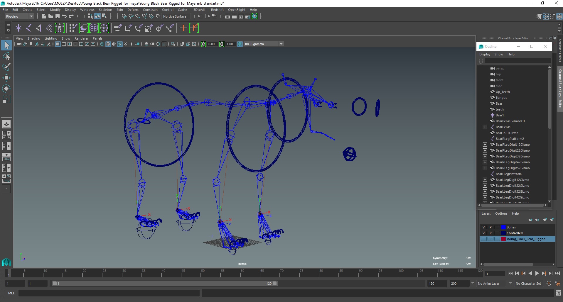 Young Black Bear Rigged for Maya 3D
