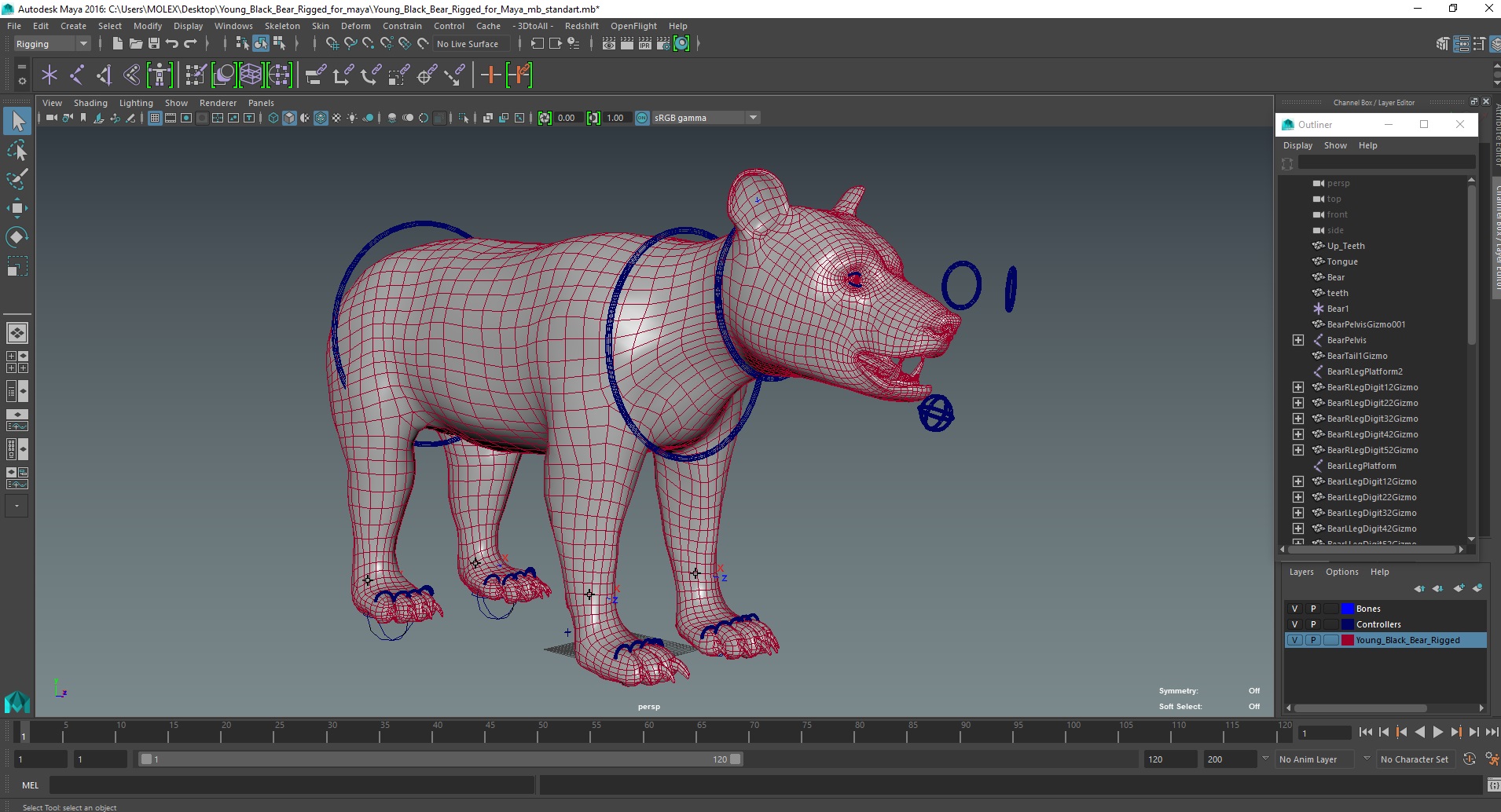 Young Black Bear Rigged for Maya 3D