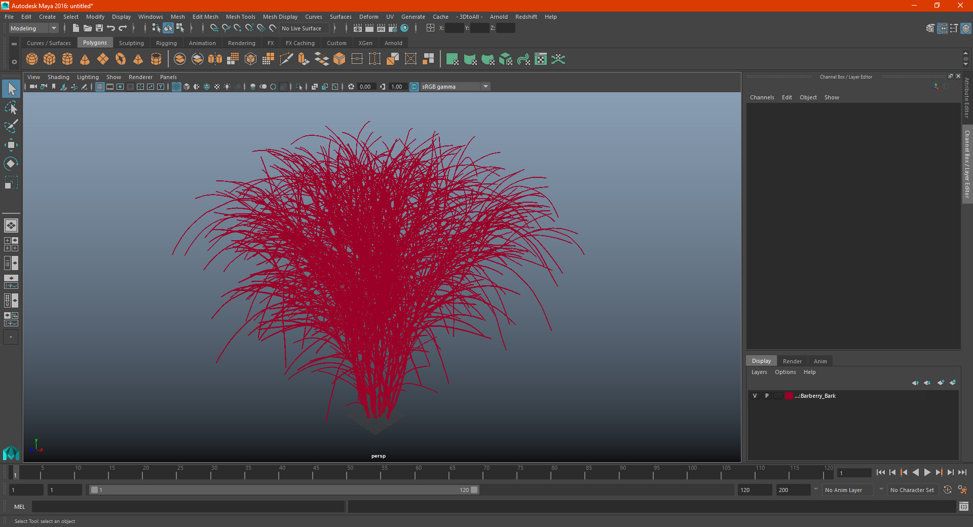 3D Barberry Bark model