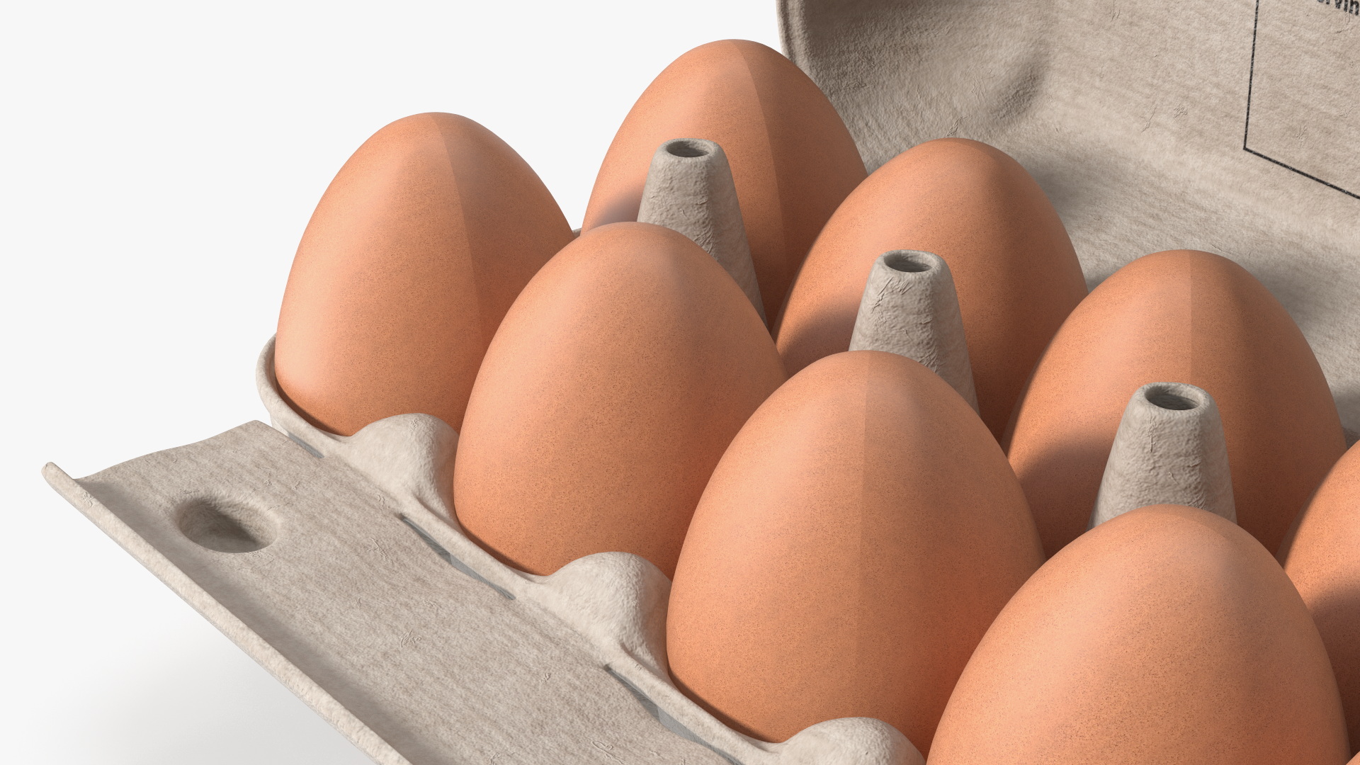 Dozen Eggs Carton, view 8