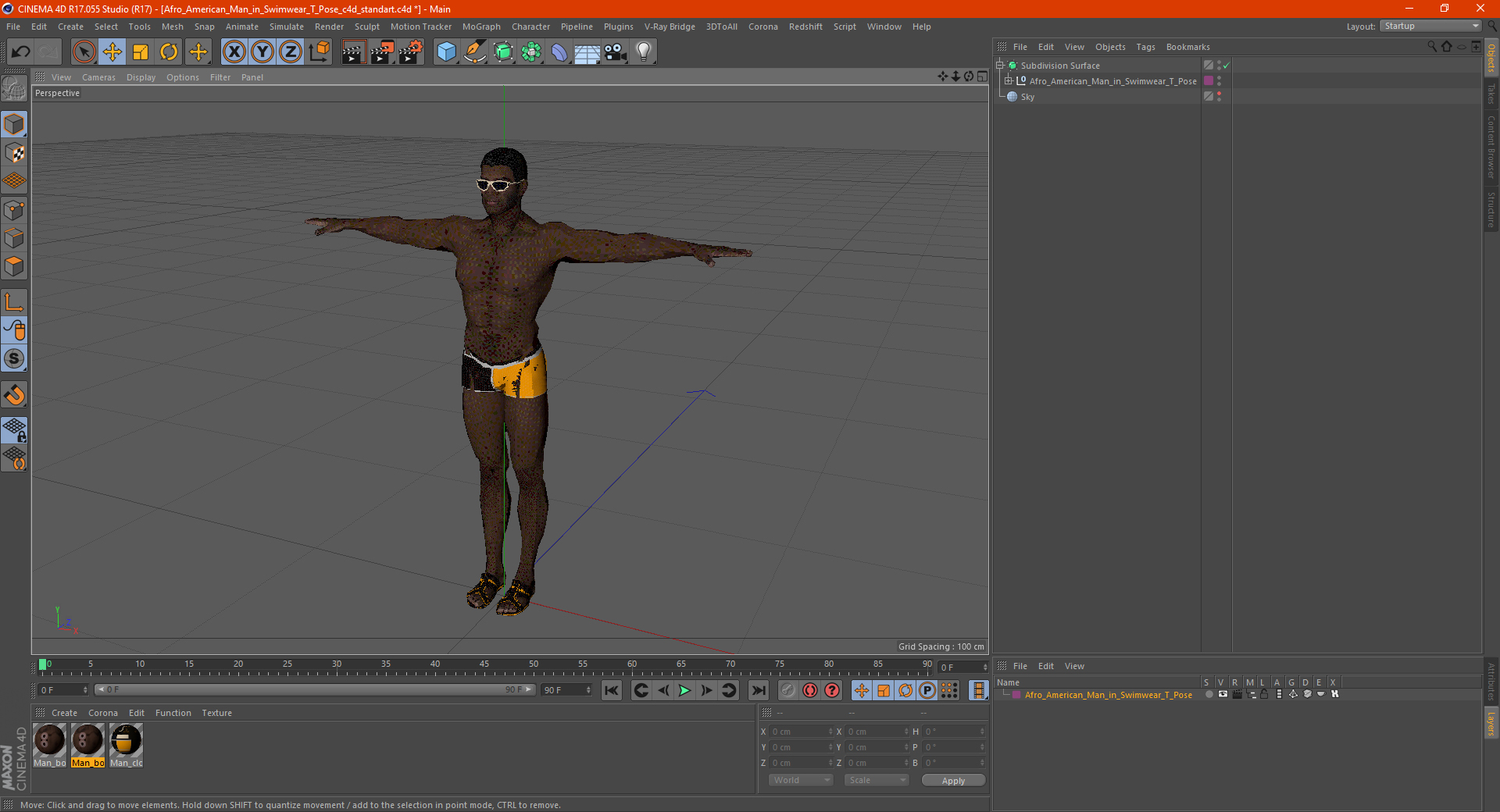 3D Afro American Man in Swimwear T Pose