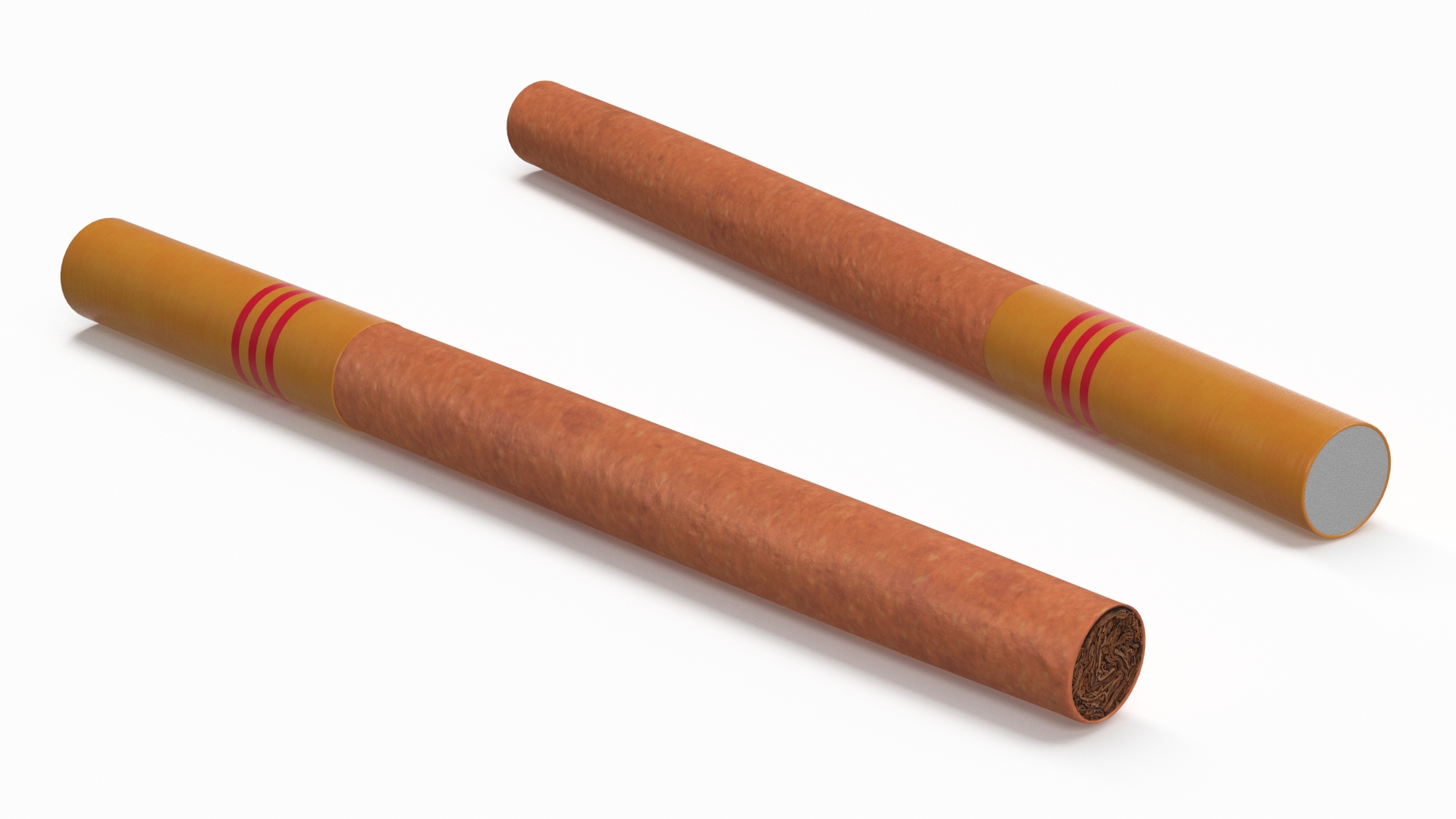 Cigar with Filter 3D