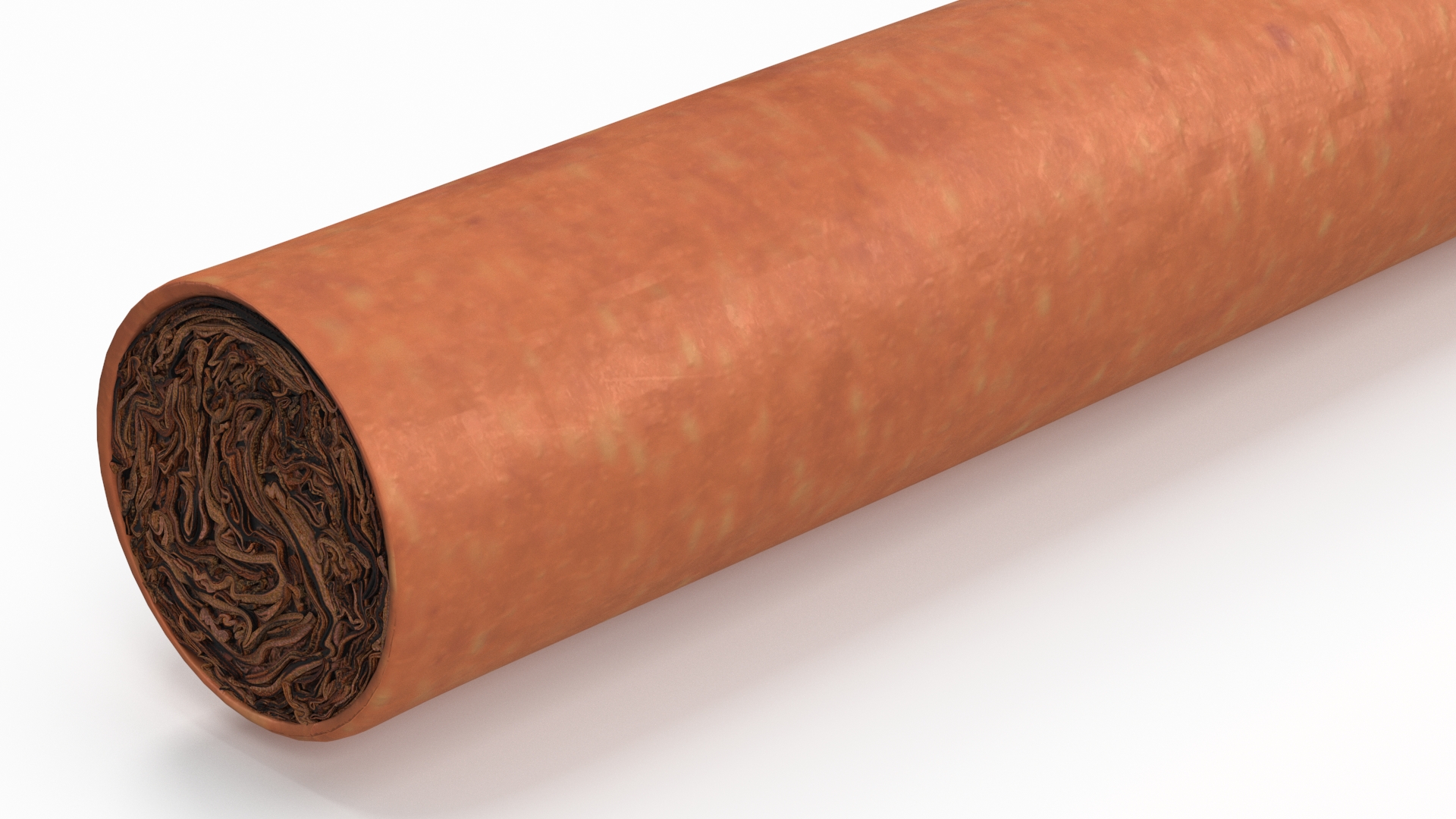 Cigar with Filter 3D
