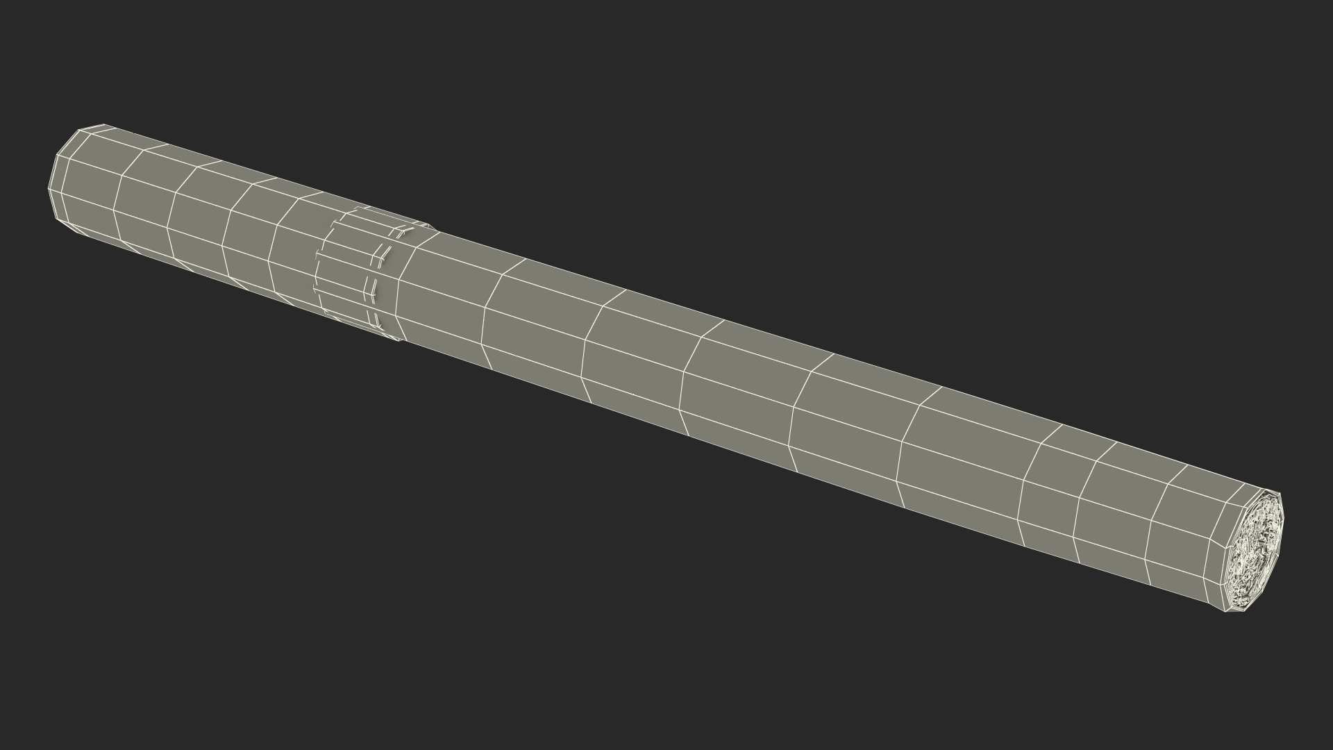 Cigar with Filter 3D