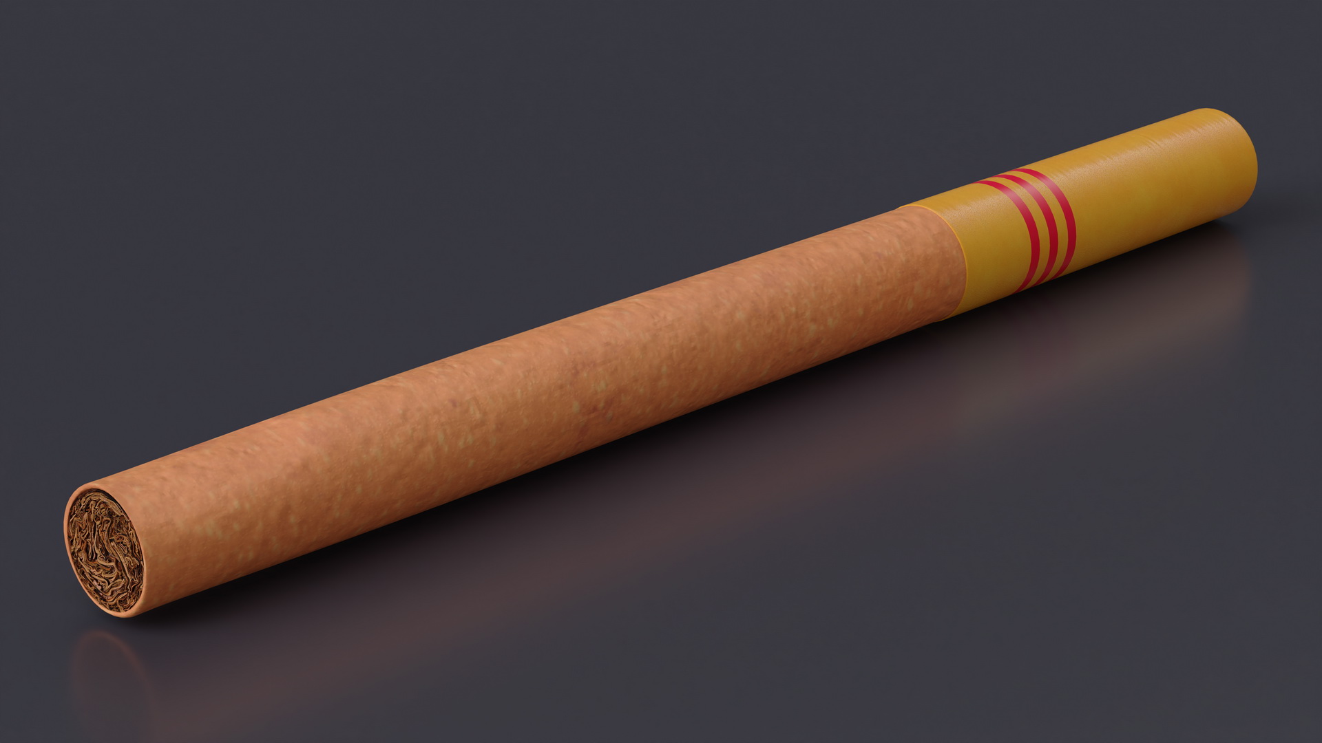 Cigar with Filter 3D