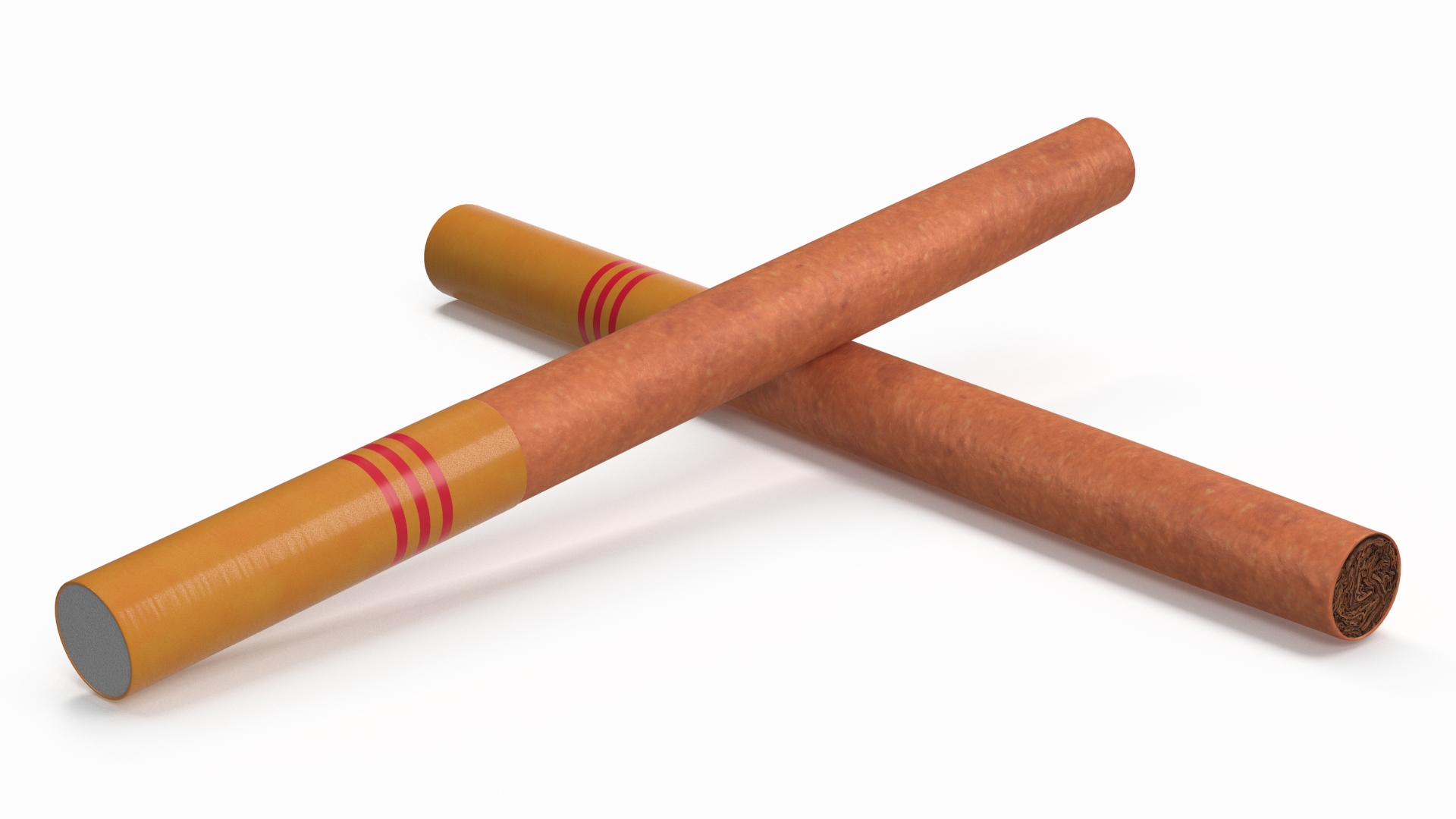 Cigar with Filter 3D