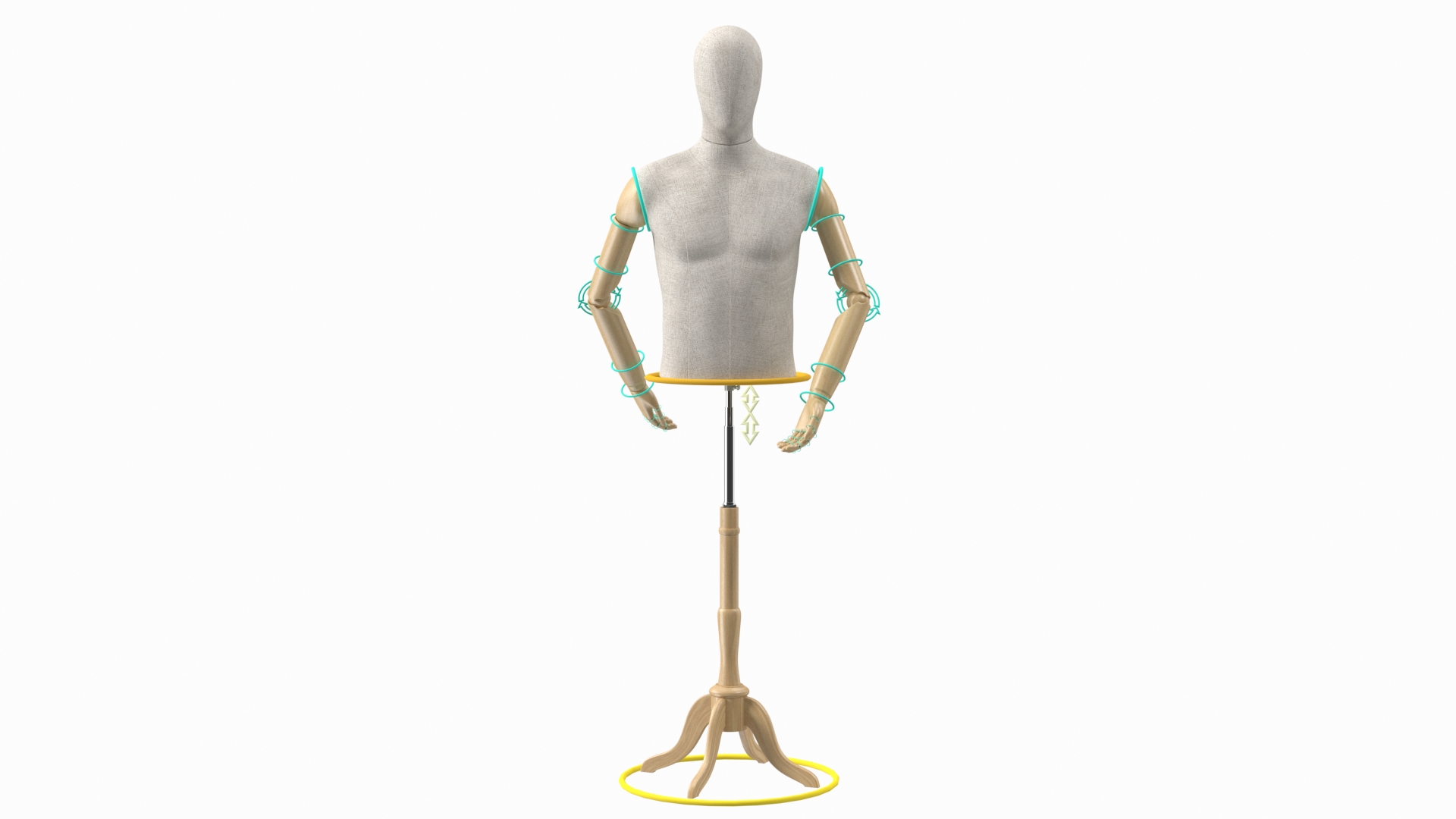 3D Male Flexible Half Body Mannequin Torso with Wooden Base Rigged model
