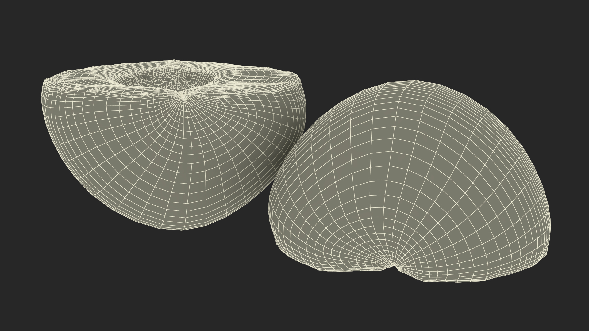 3D Half Apricot with Fruit Core model