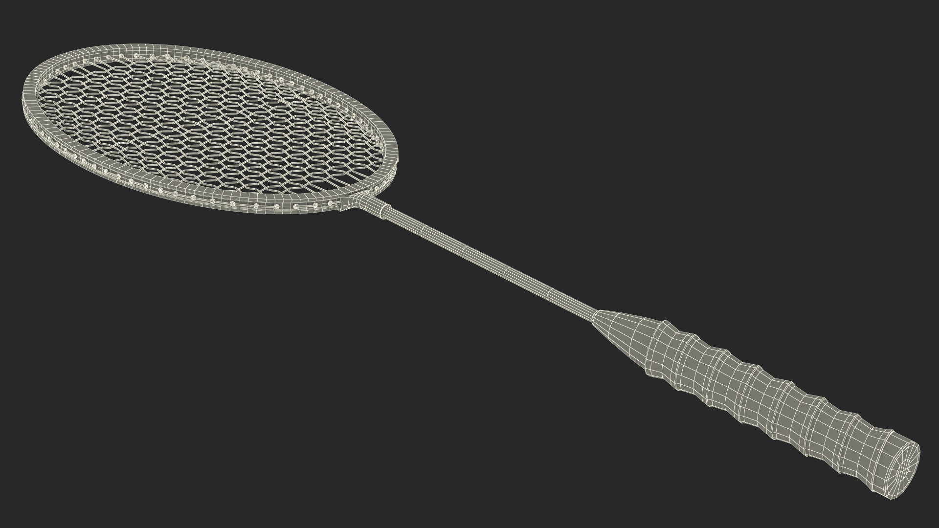 Professional Carbon Fiber Badminton Racket 3D