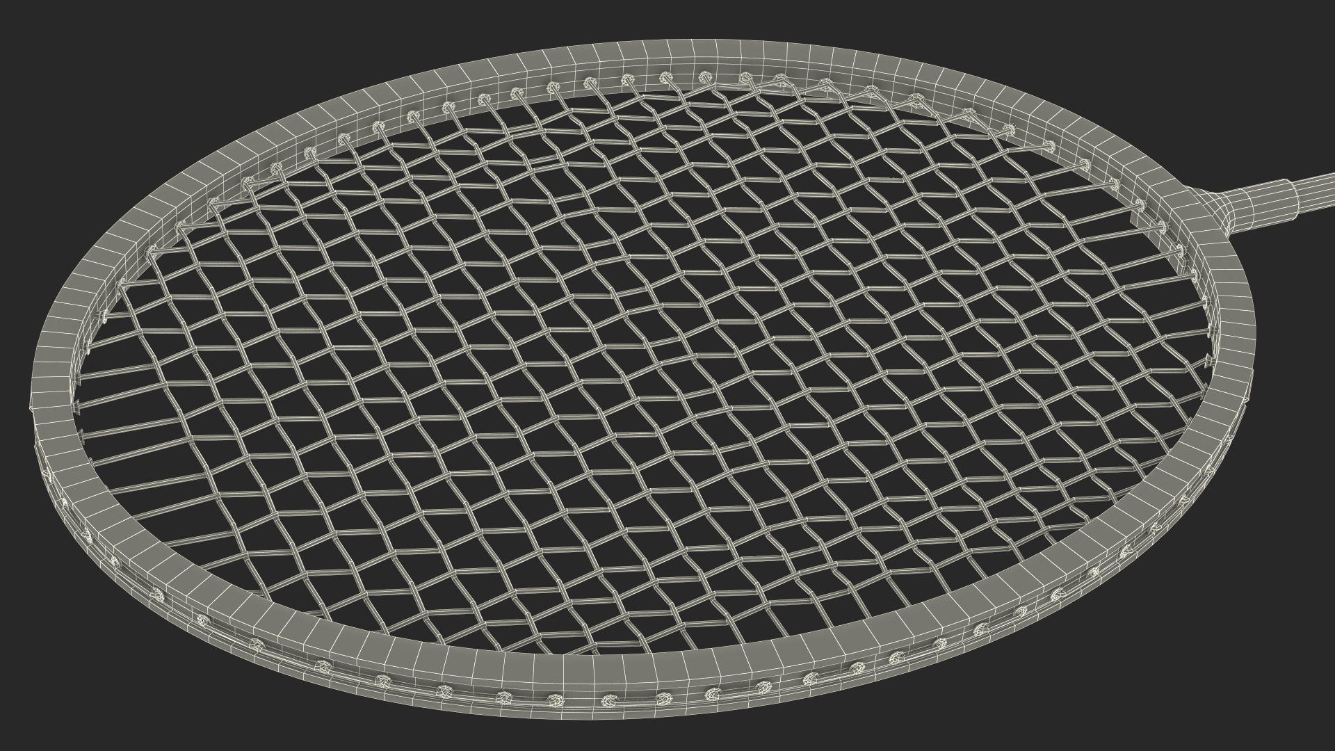 Professional Carbon Fiber Badminton Racket 3D