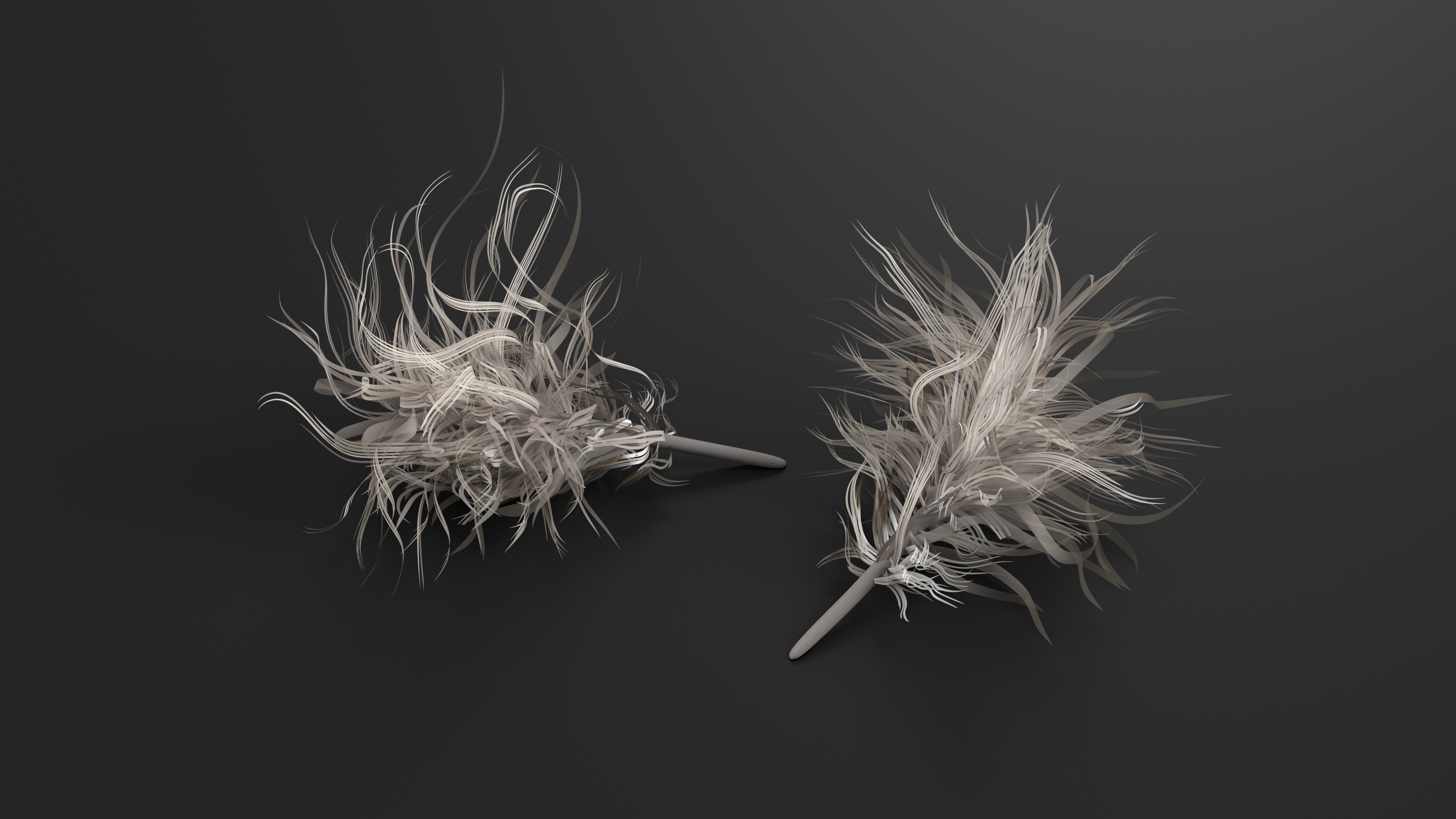 3D model Canada Goose Feather