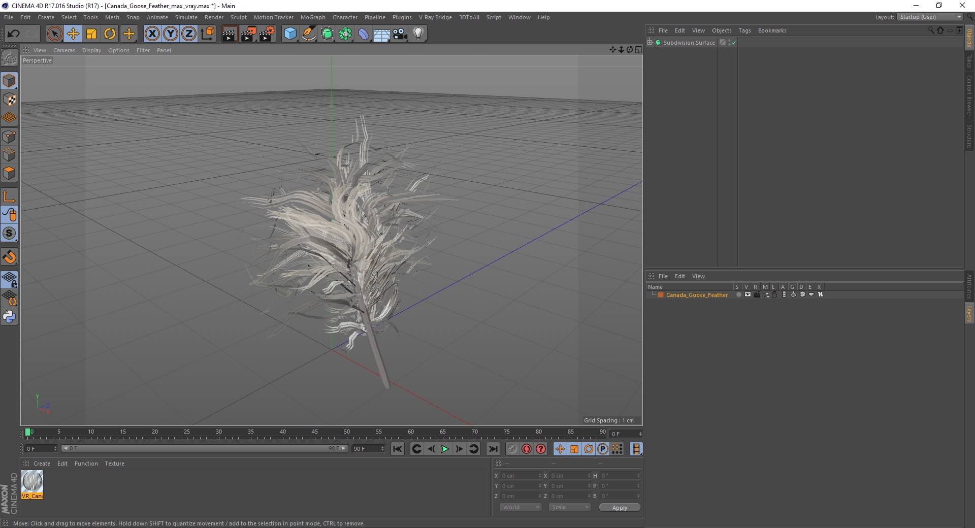 3D model Canada Goose Feather