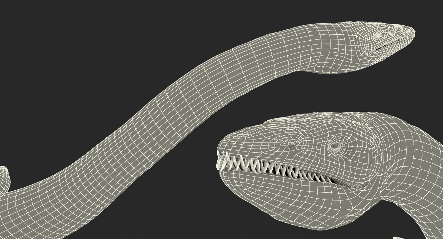3D Plesiosauria Marine Reptile Dinosaur
