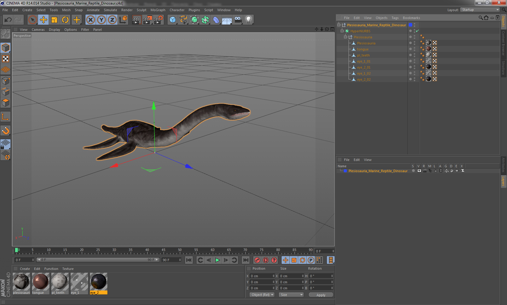 3D Plesiosauria Marine Reptile Dinosaur