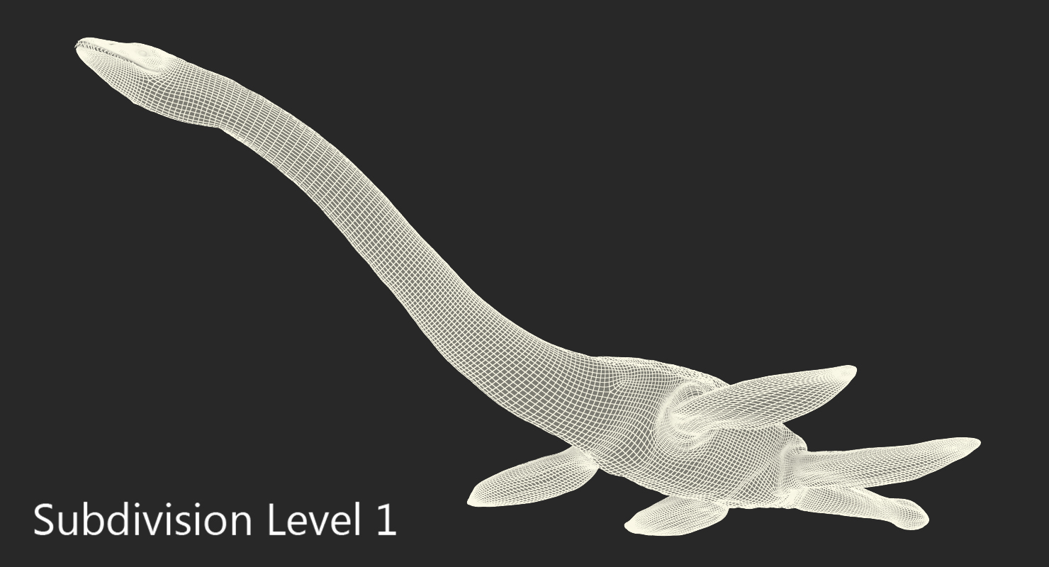 3D Plesiosauria Marine Reptile Dinosaur