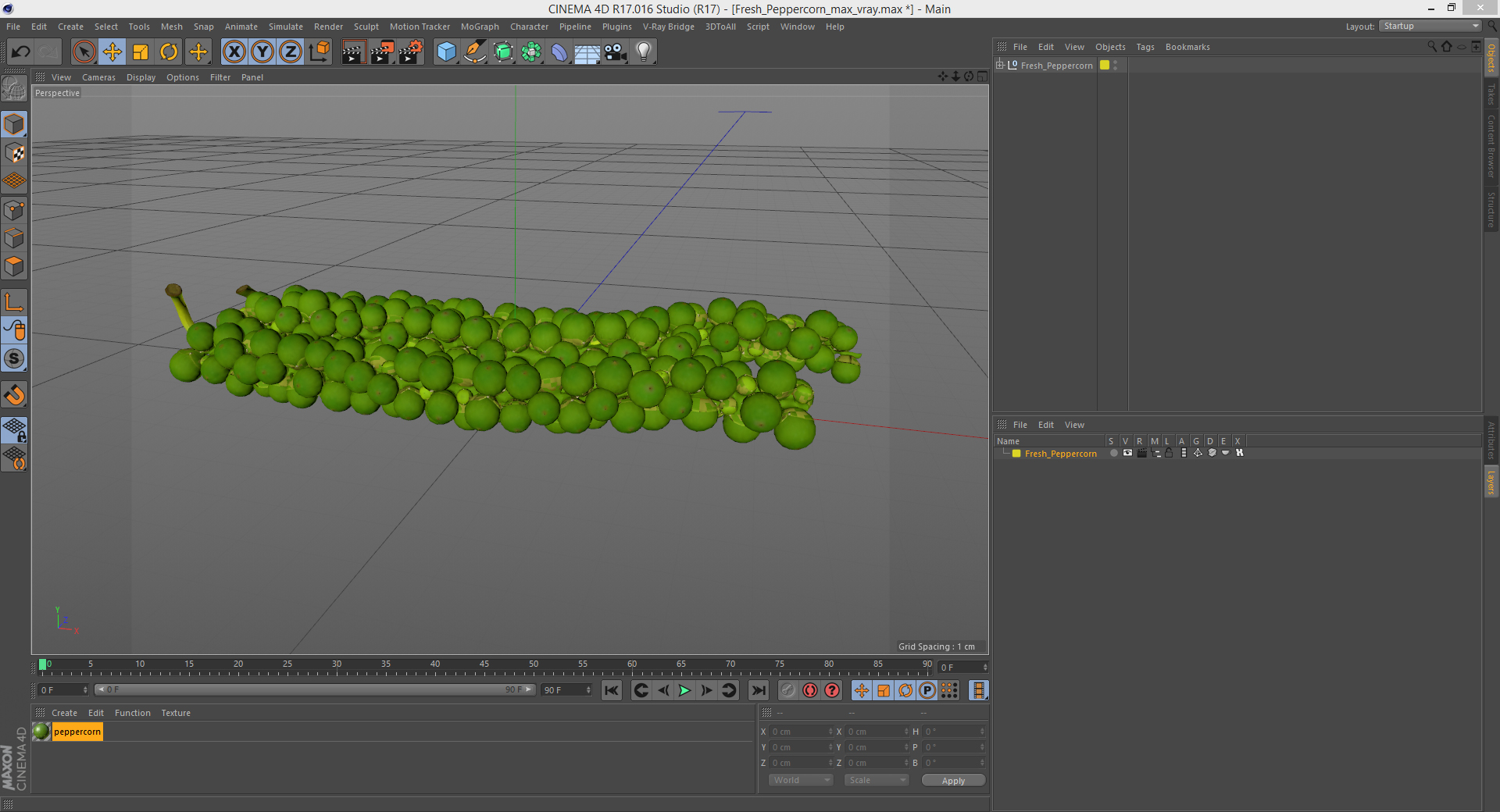 3D Fresh Peppercorn