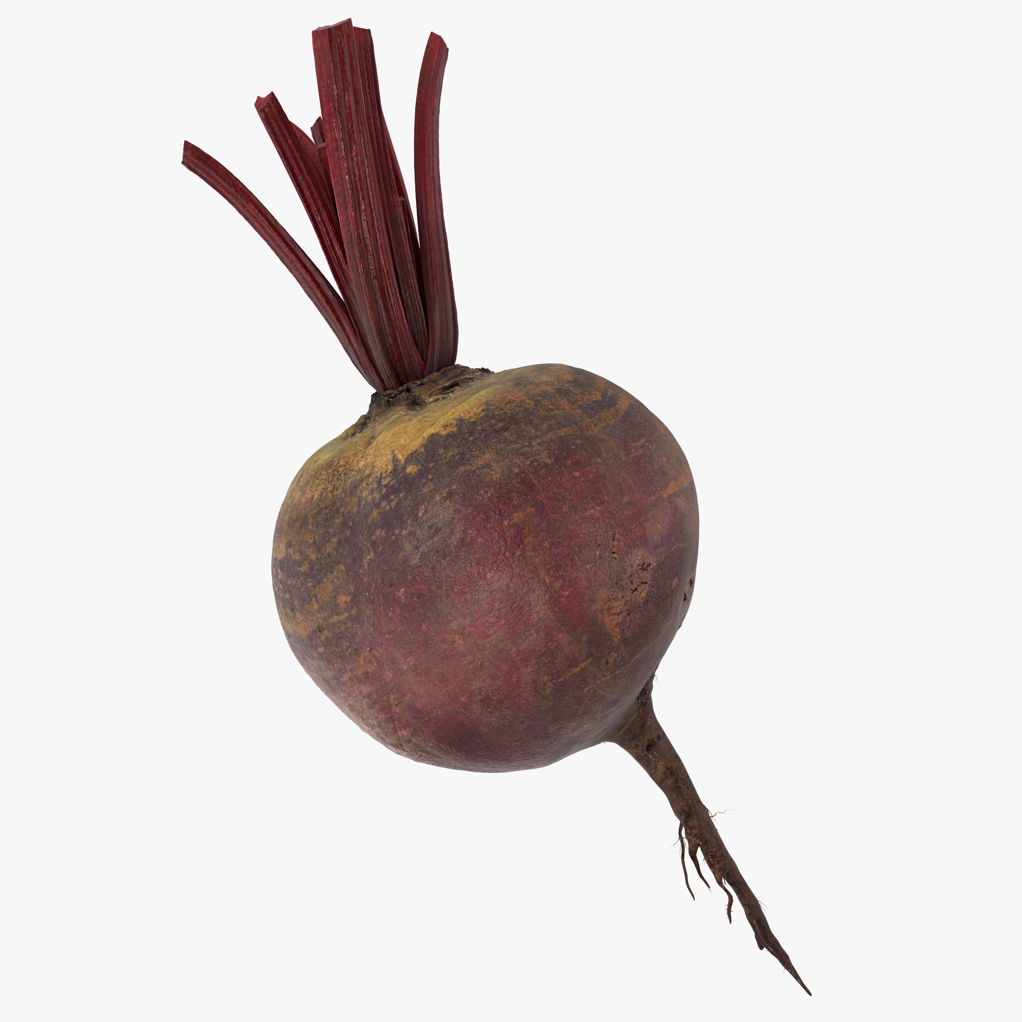 Beetroot, view 4