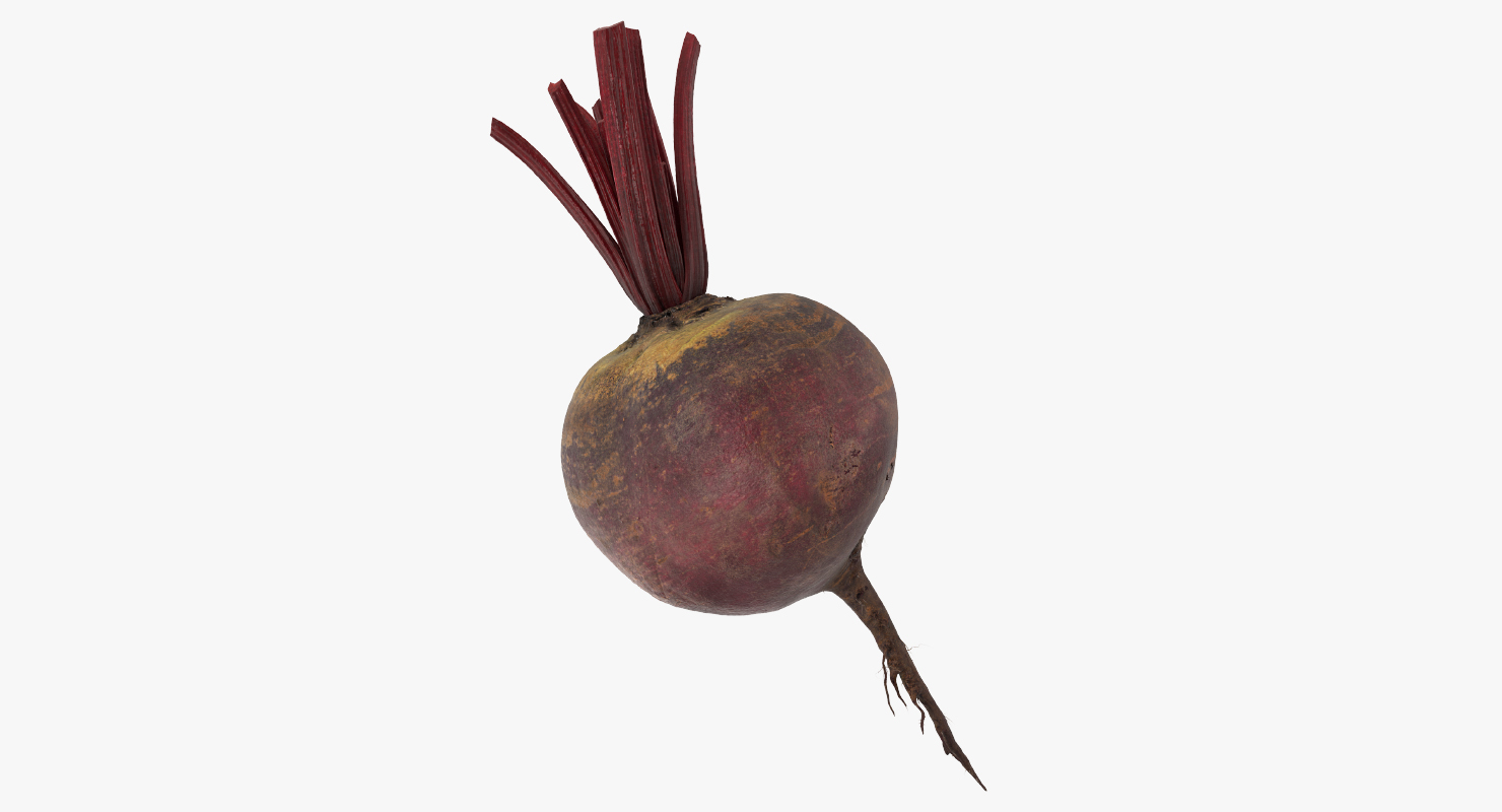 3D model Beetroot
