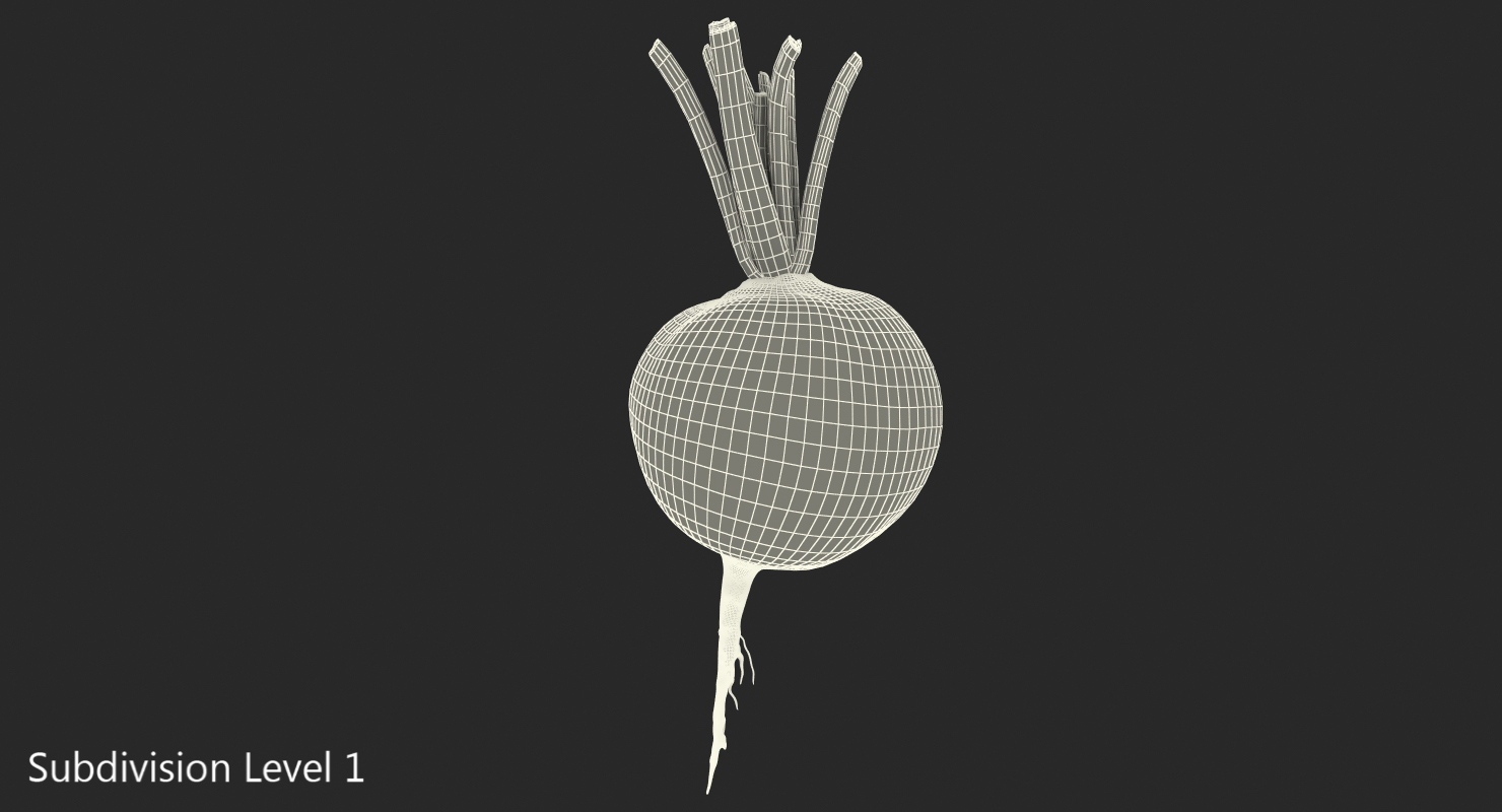 3D model Beetroot