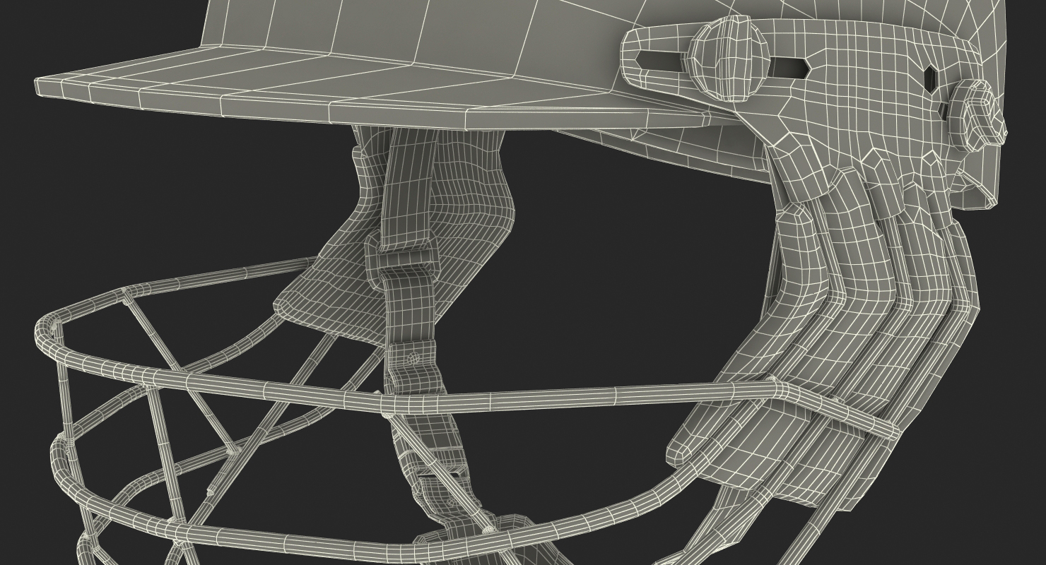 Cricket Helmet Generic 3D