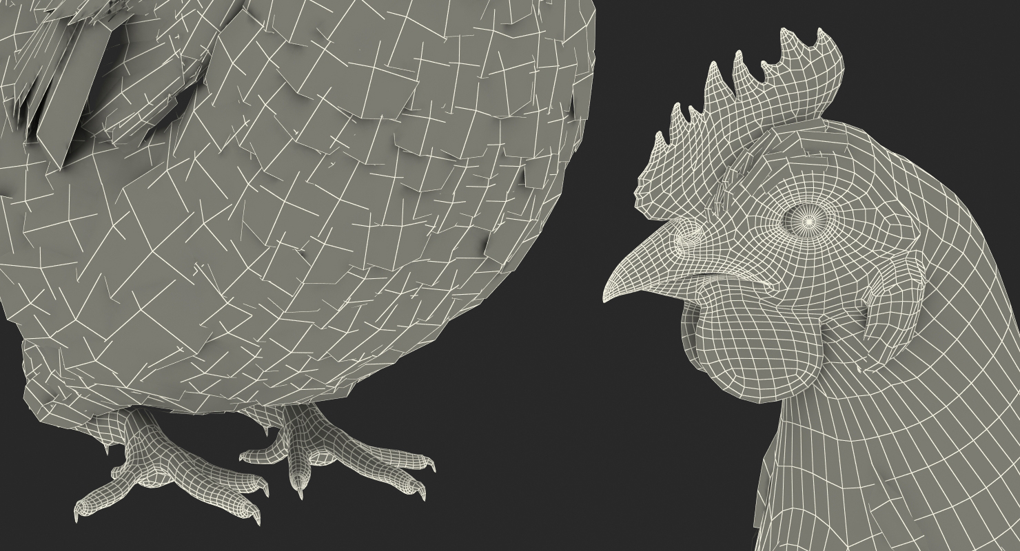 3D model Brown Chicken Siting Pose