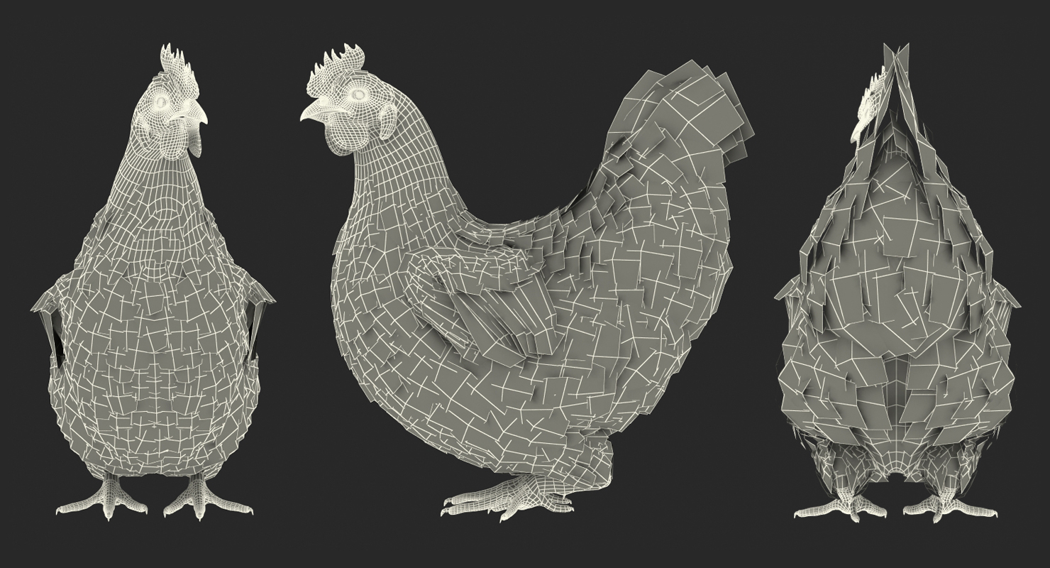 3D model Brown Chicken Siting Pose