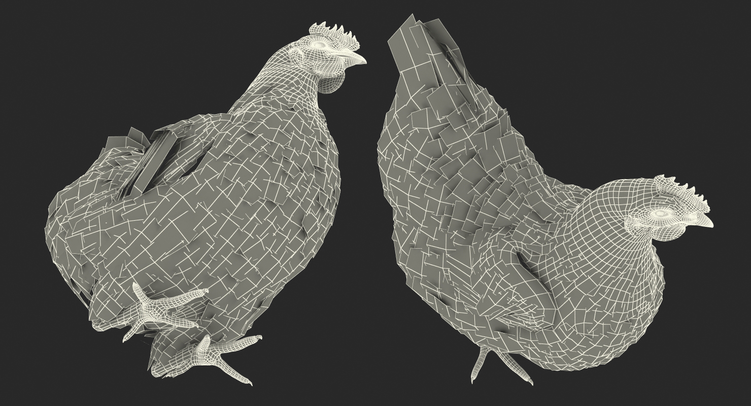 3D model Brown Chicken Siting Pose