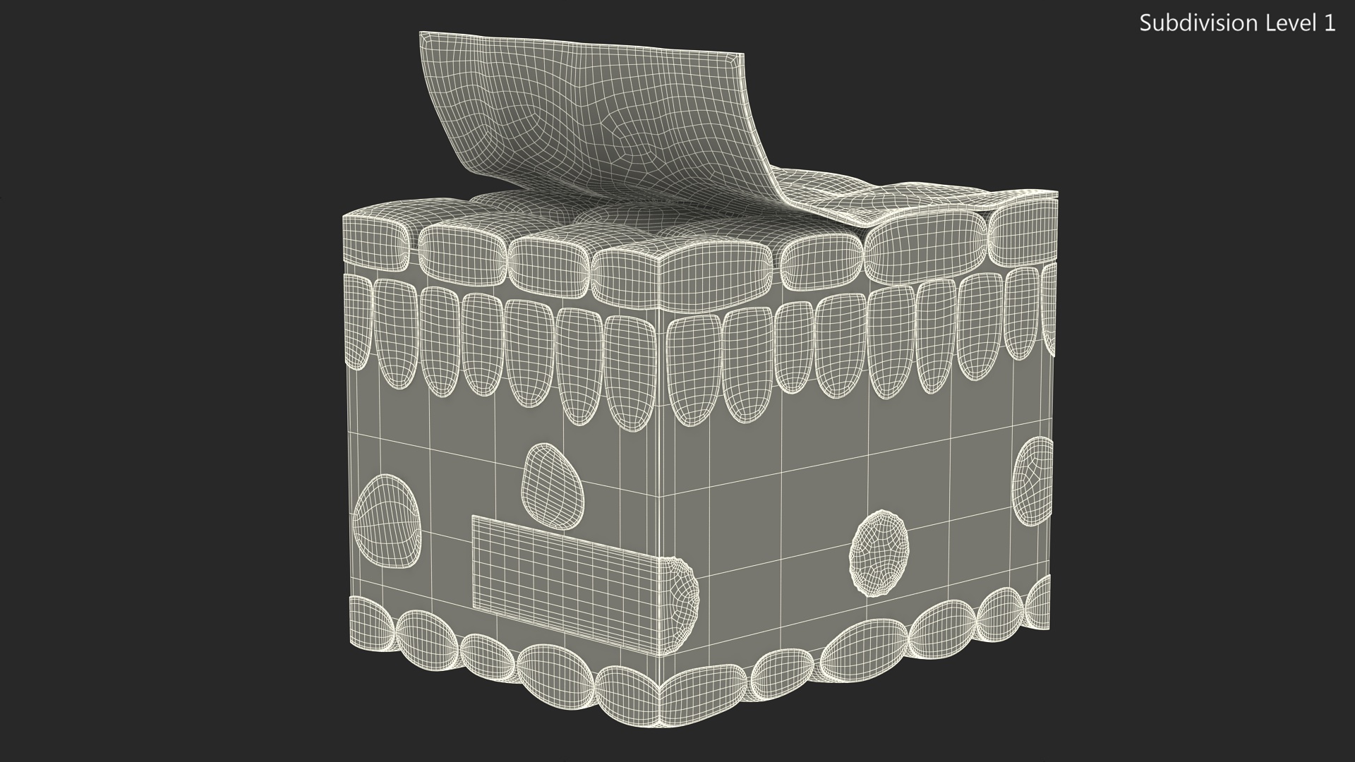 Realistic Leaf Anatomy 3D