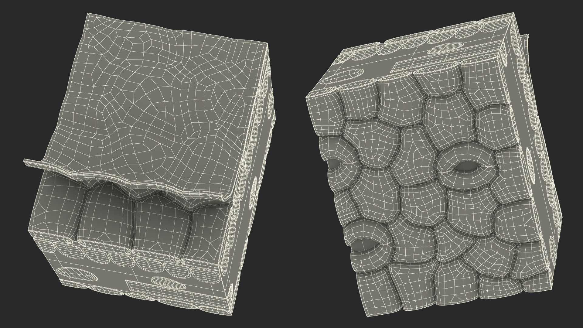 Realistic Leaf Anatomy 3D