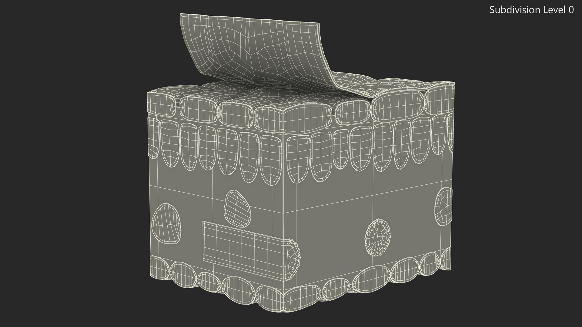 Realistic Leaf Anatomy 3D