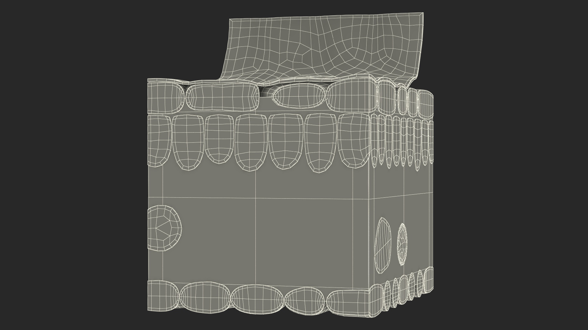 Realistic Leaf Anatomy 3D