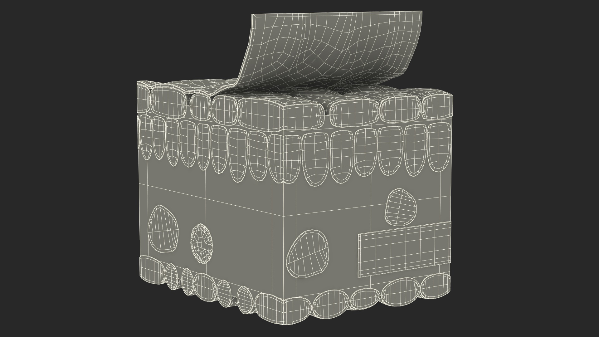 Realistic Leaf Anatomy 3D