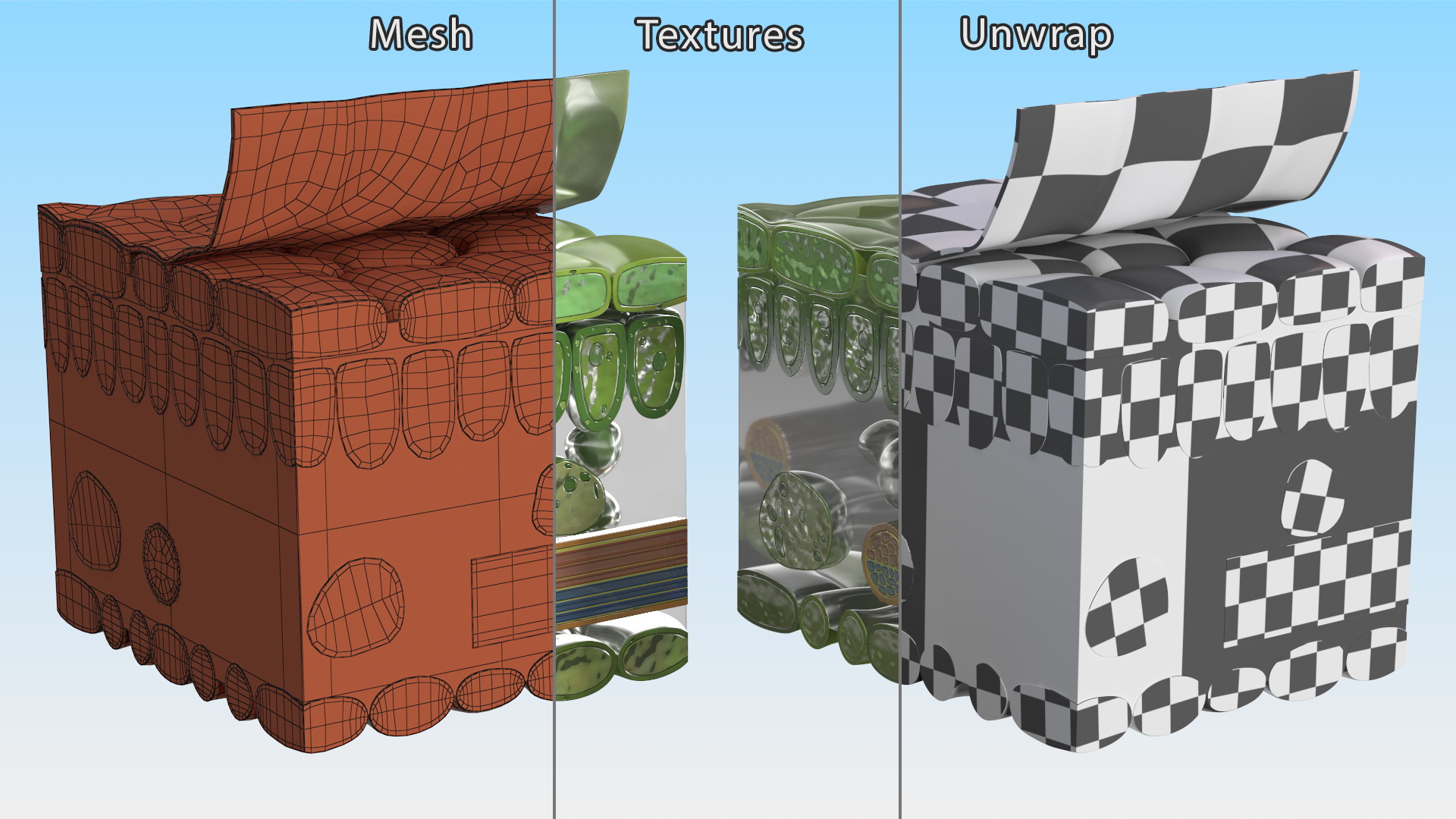 Realistic Leaf Anatomy 3D