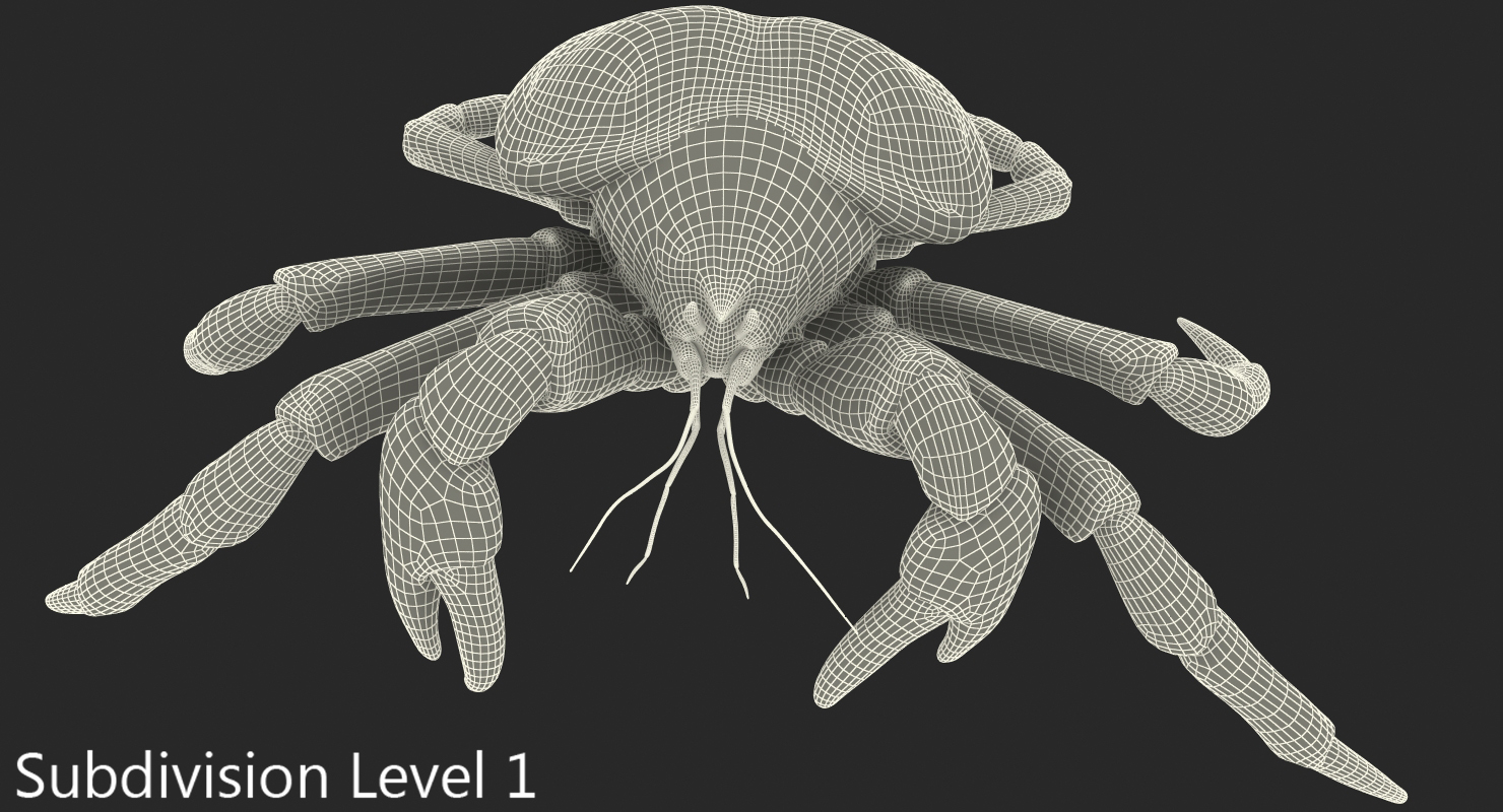 Robber Crab Walking Pose 3D model