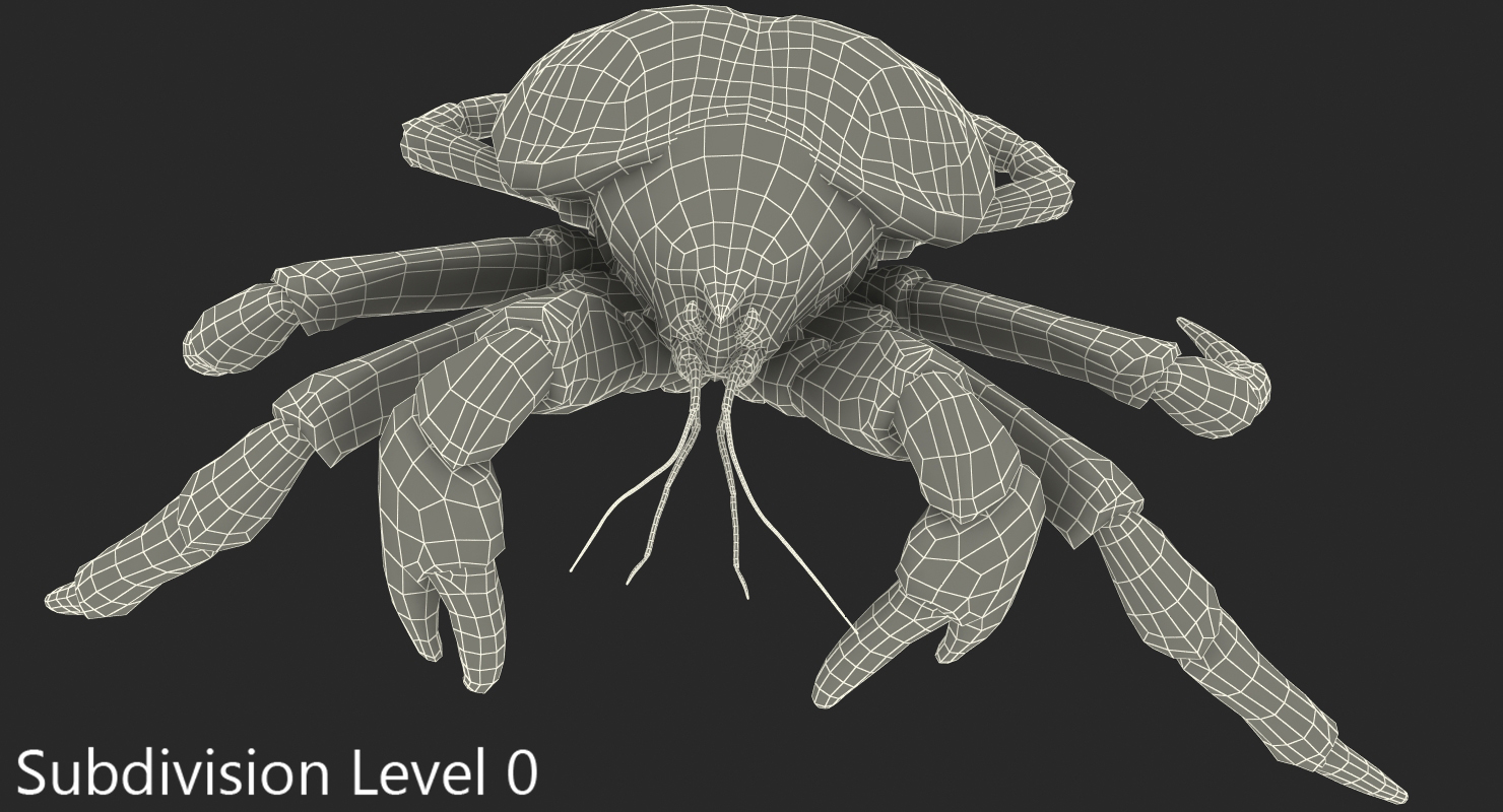 Robber Crab Walking Pose 3D model
