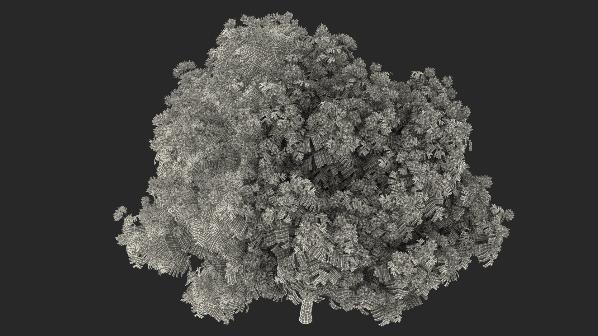 3D Peltophorum Pterocarpum Tree with Flowers