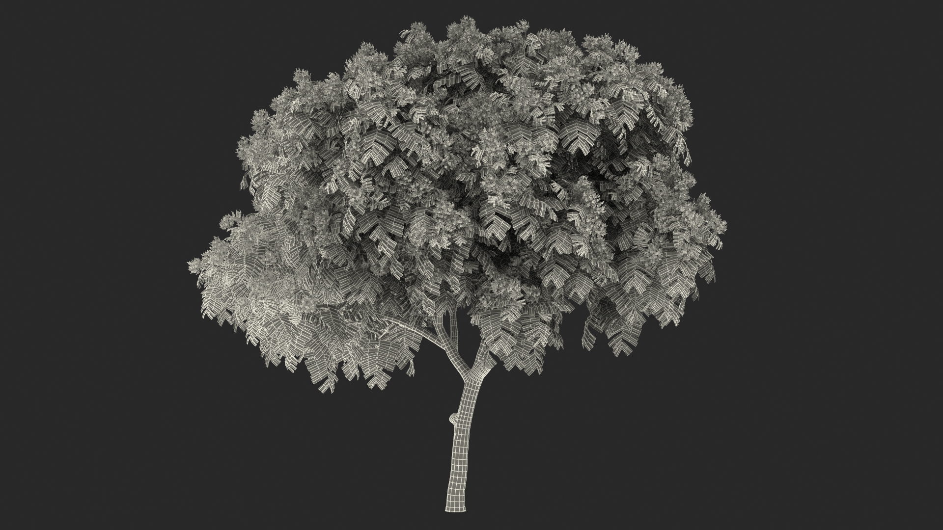 3D Peltophorum Pterocarpum Tree with Flowers