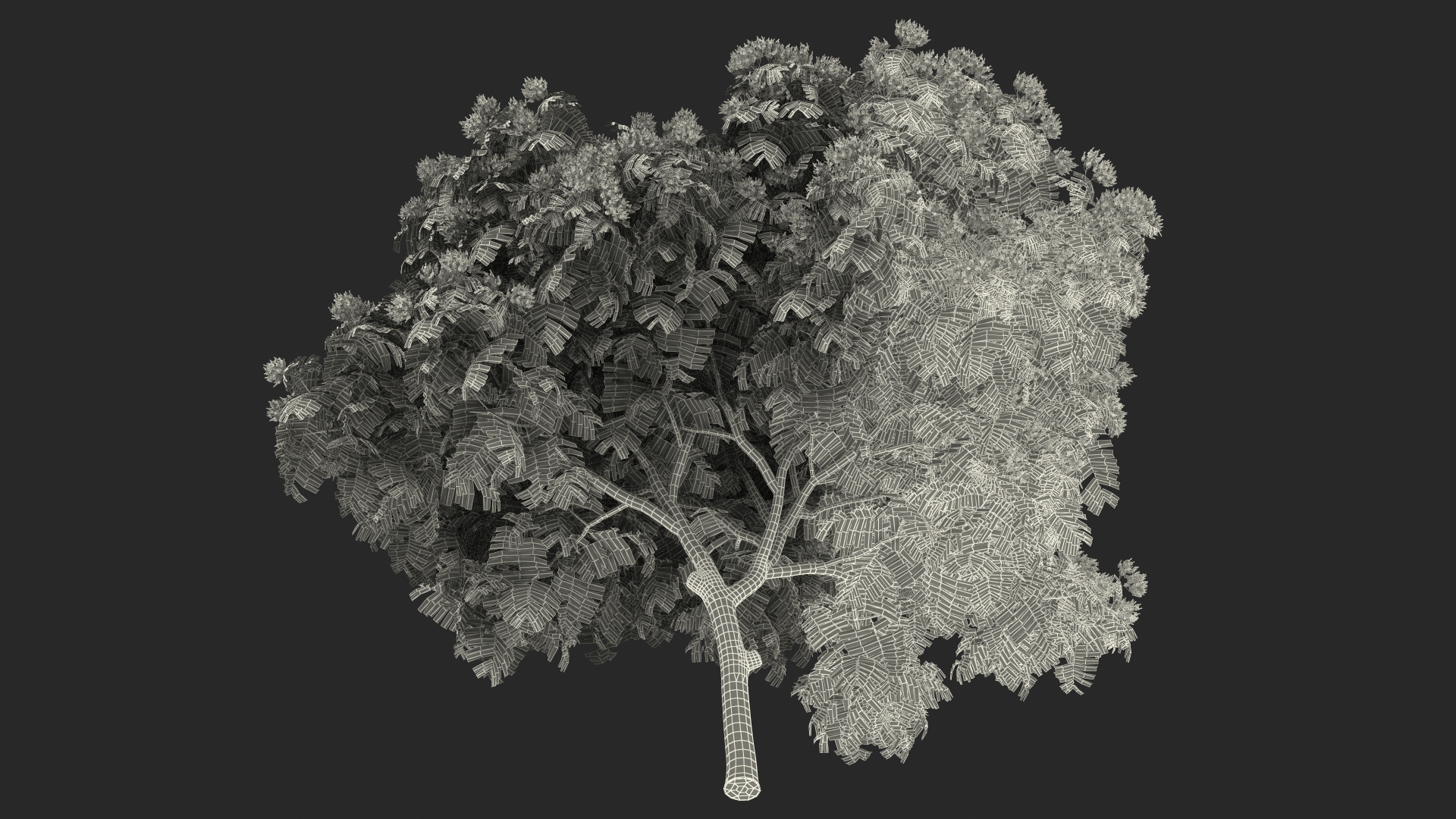 3D Peltophorum Pterocarpum Tree with Flowers