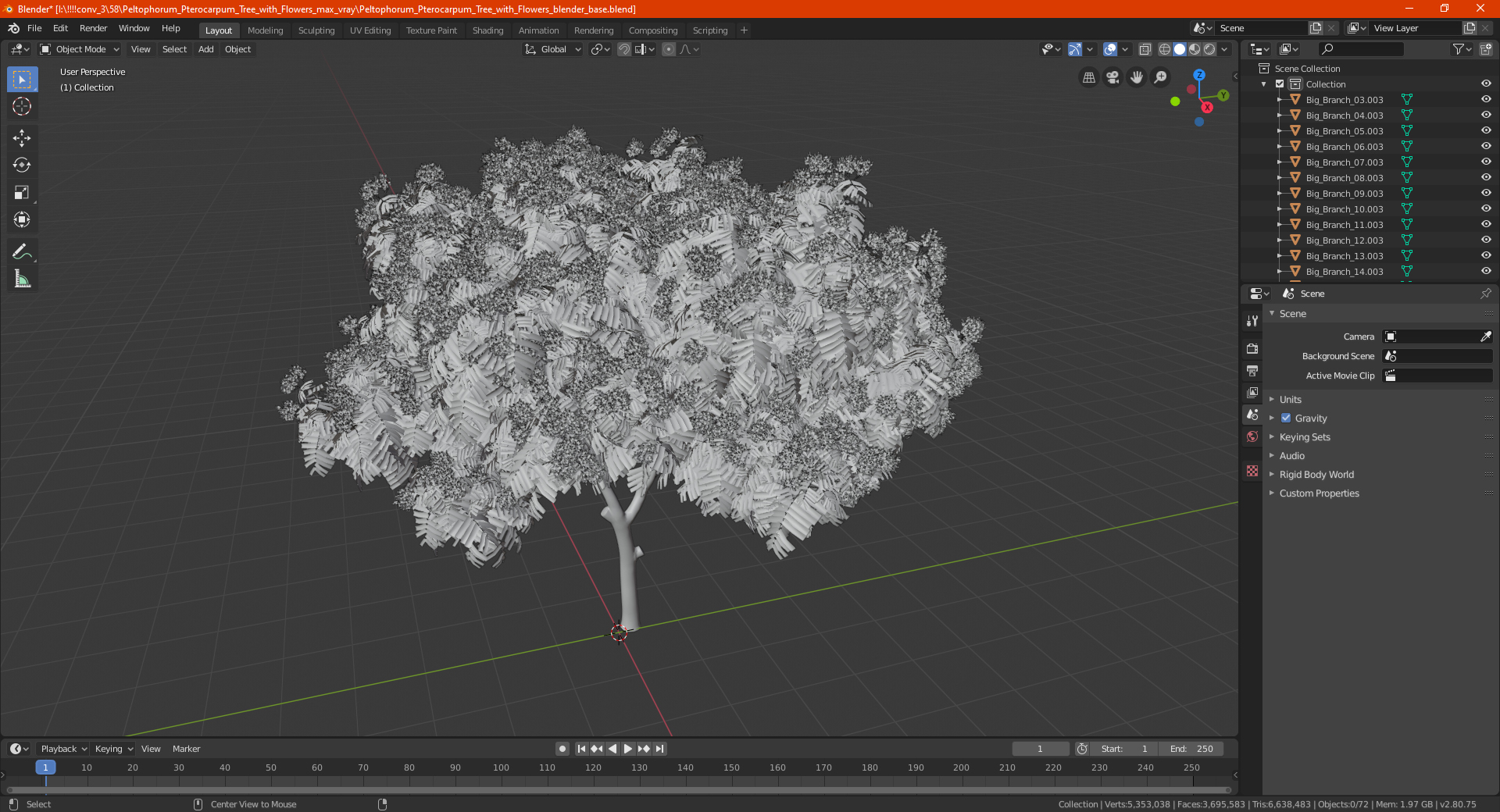 3D Peltophorum Pterocarpum Tree with Flowers