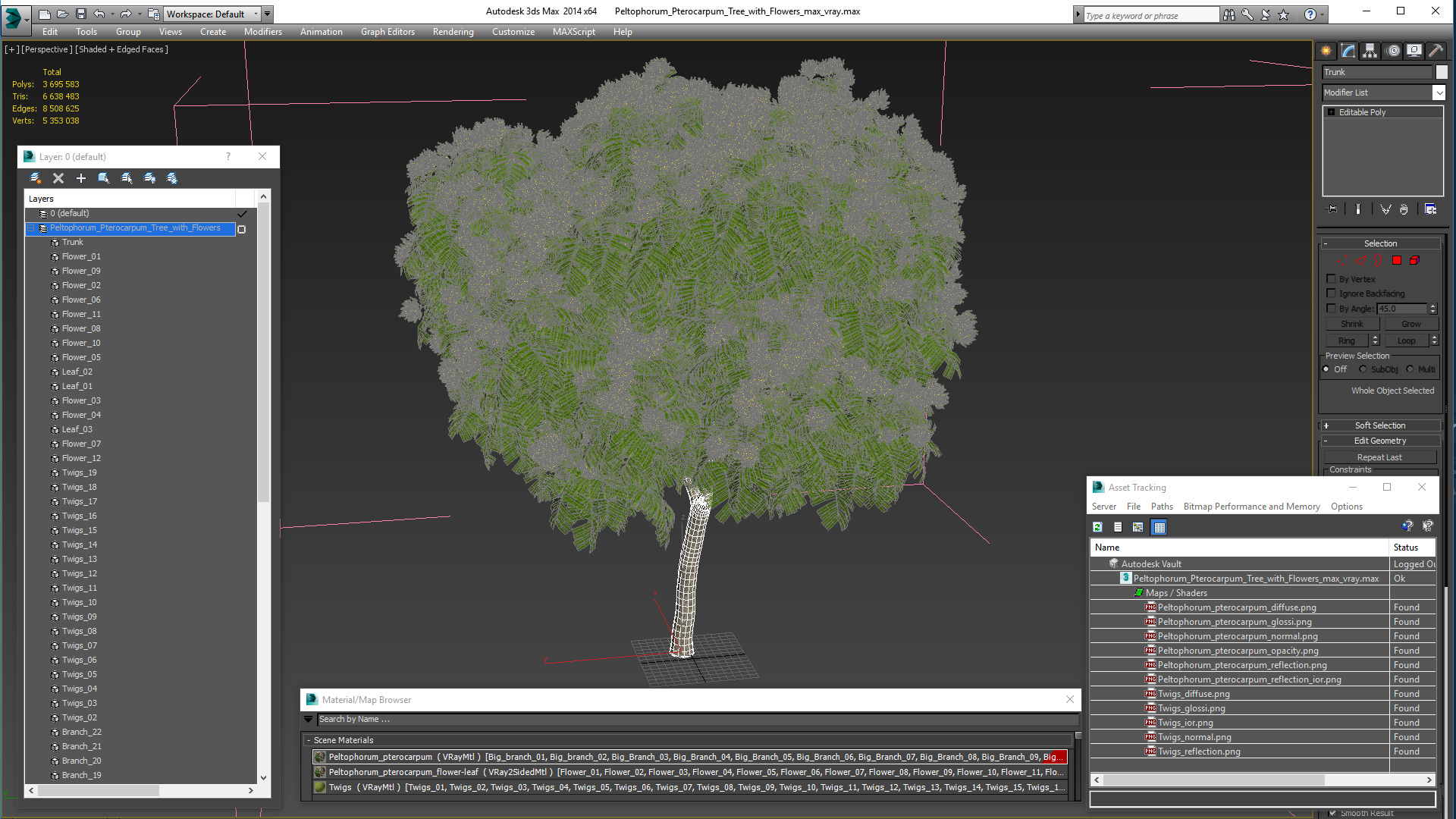 3D Peltophorum Pterocarpum Tree with Flowers