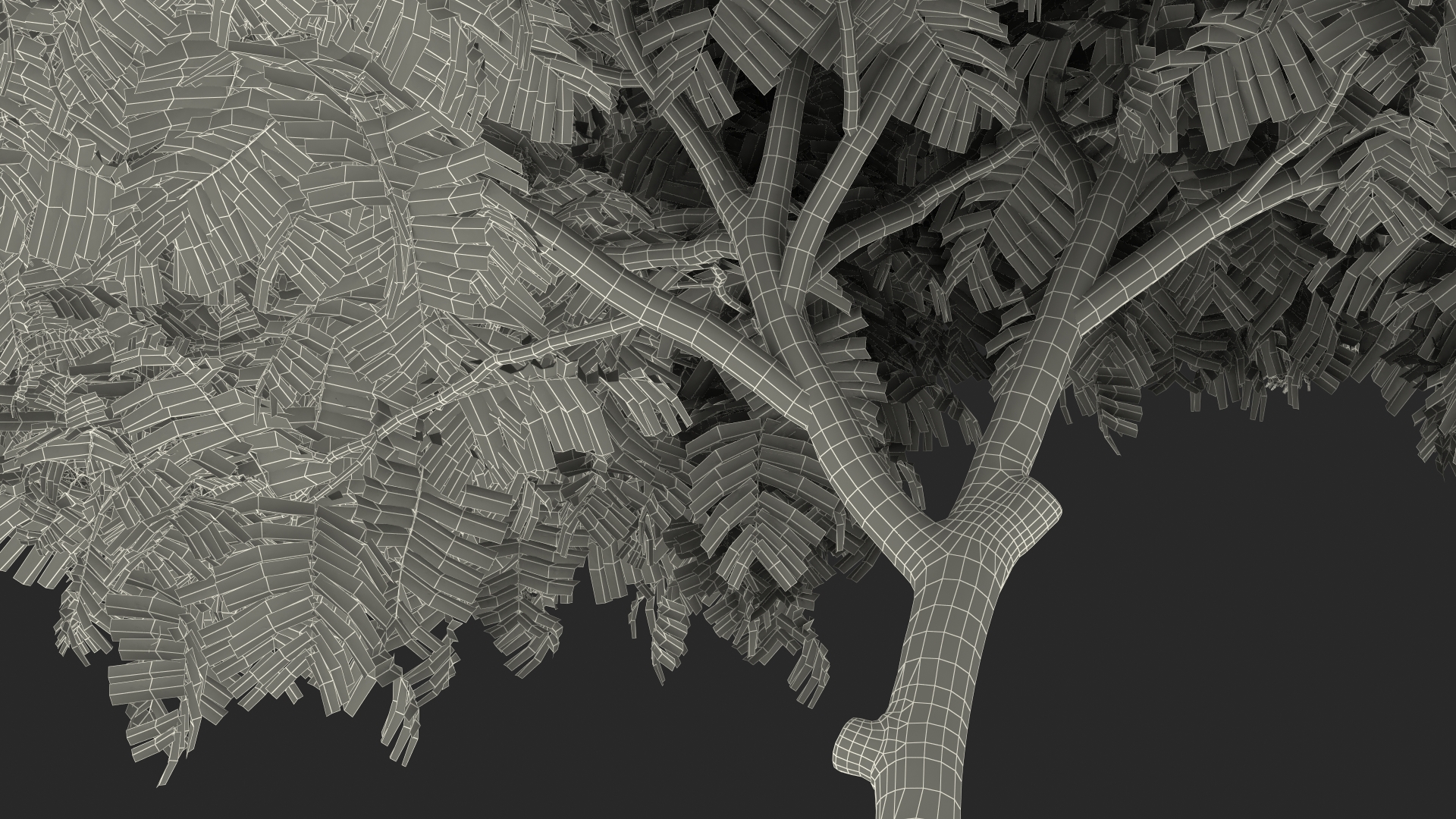 3D Peltophorum Pterocarpum Tree with Flowers