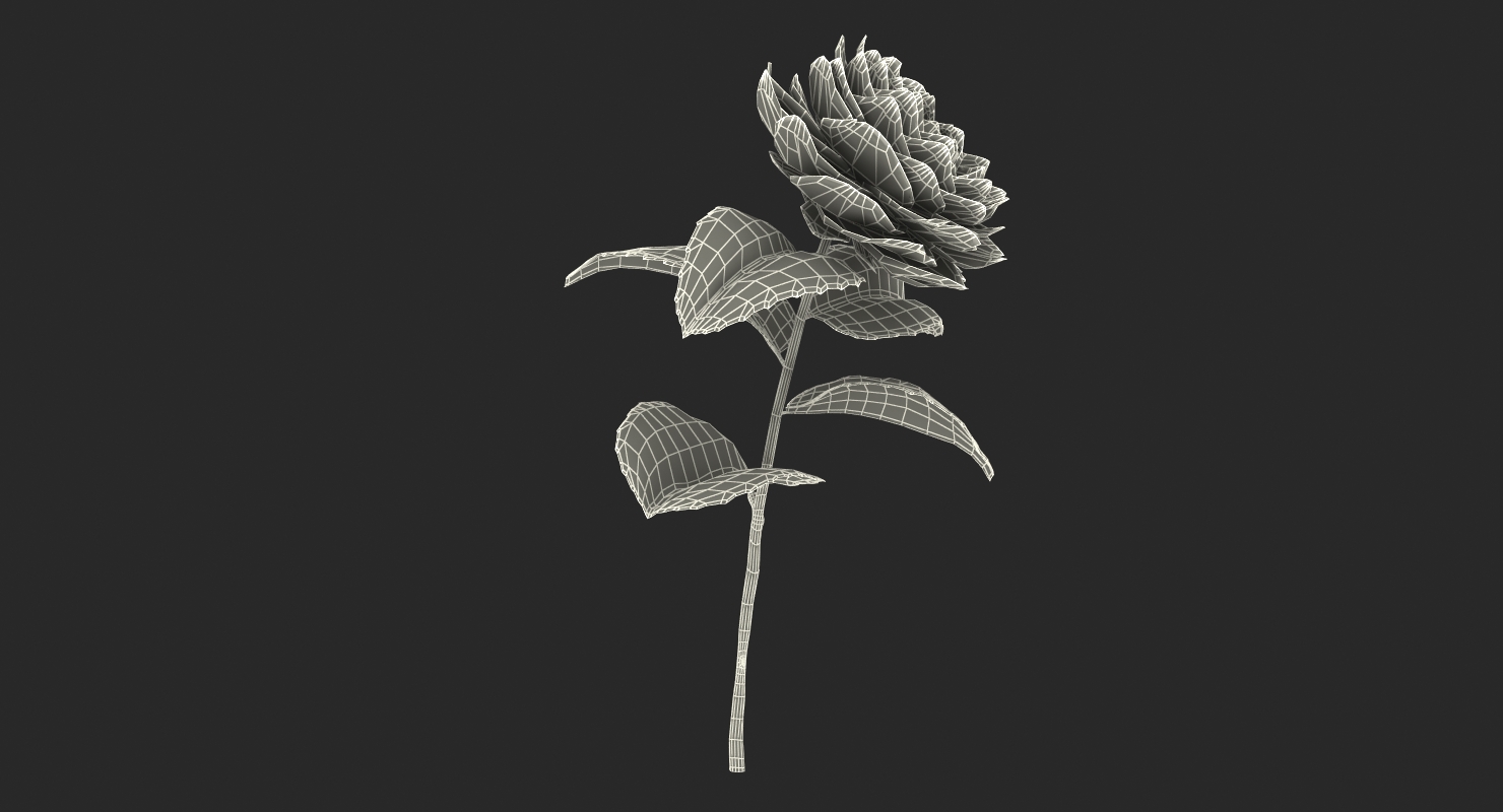 3D Blooming Flower Camelia model
