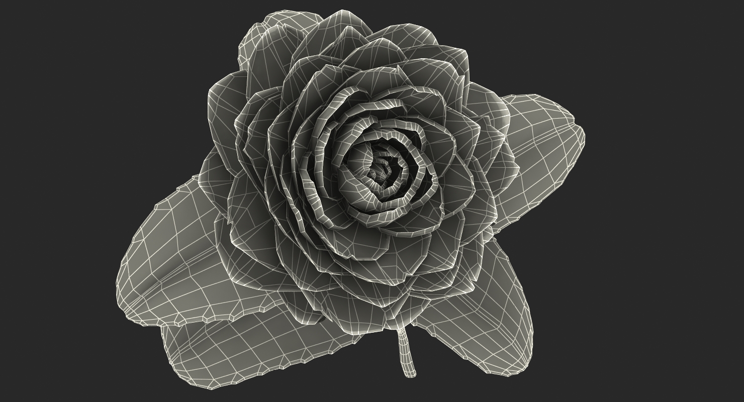 3D Blooming Flower Camelia model
