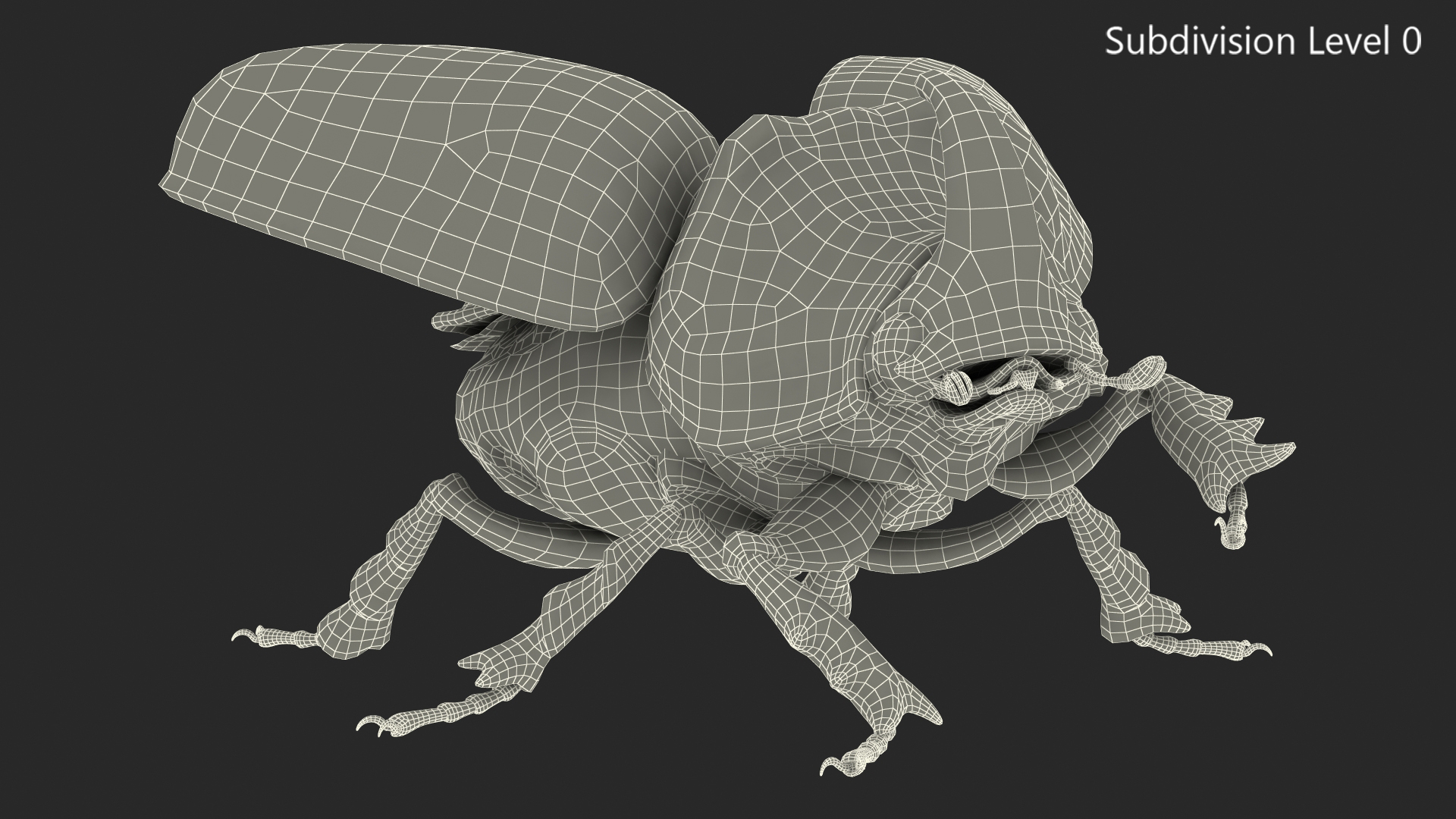 Rhinoceros Beetle Oryctes Nasicornis with Fur Rigged 3D